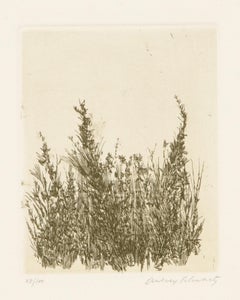 Flores silvestres VI, grabado moderno de Aubrey Schwartz