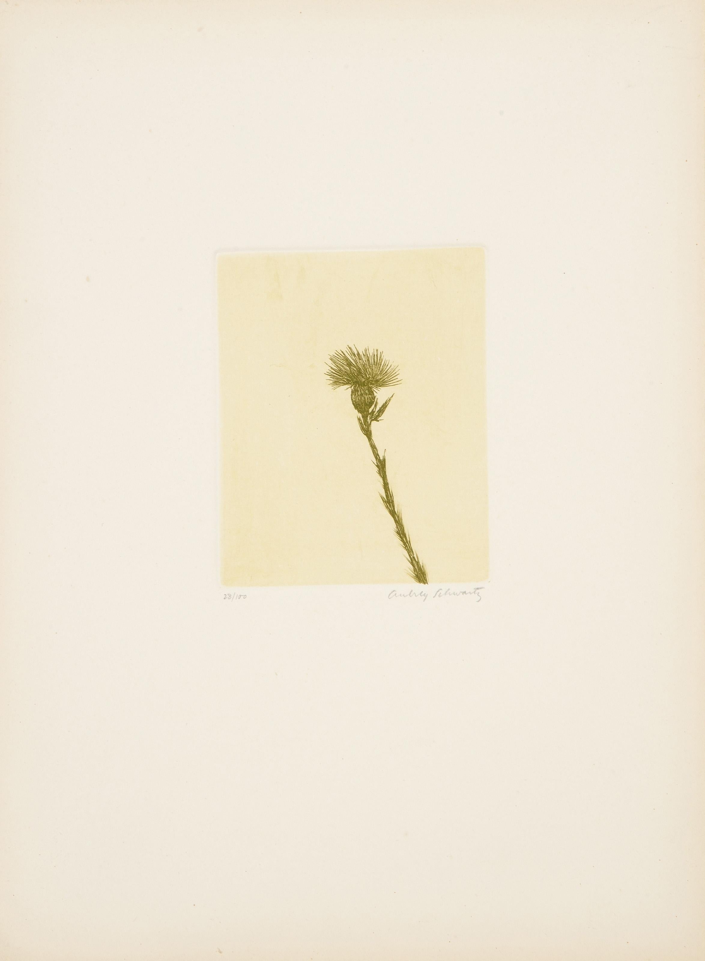 Flores silvestres VII, grabado moderno de Aubrey Schwartz en venta 1