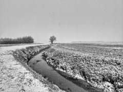 Zanja de invierno, impresión en pigmento de archivo de Joseph Rossano, 2019
