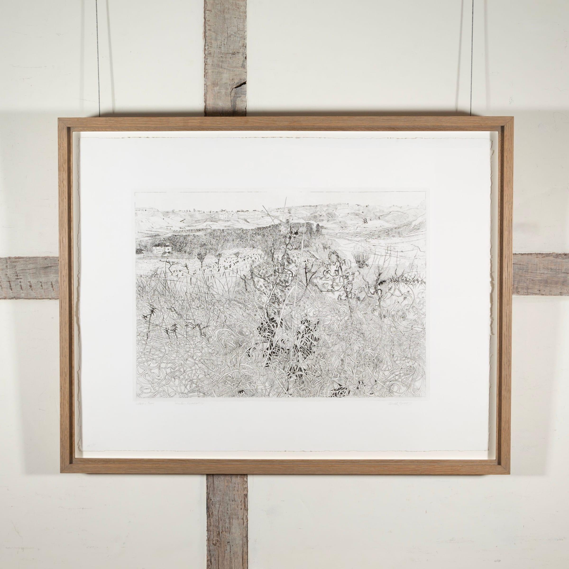 Winter Grasses by Anthony Gross, 1972 For Sale 1