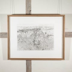 Winter Grasses by Anthony Gross, 1972