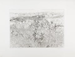 Hierbas de invierno de Anthony Gross, 1972