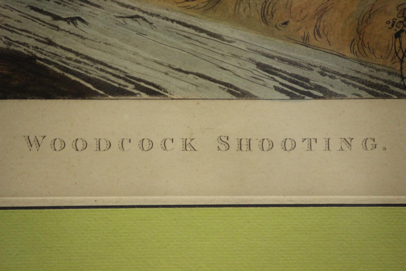 Woodcock Shooting For Sale 4