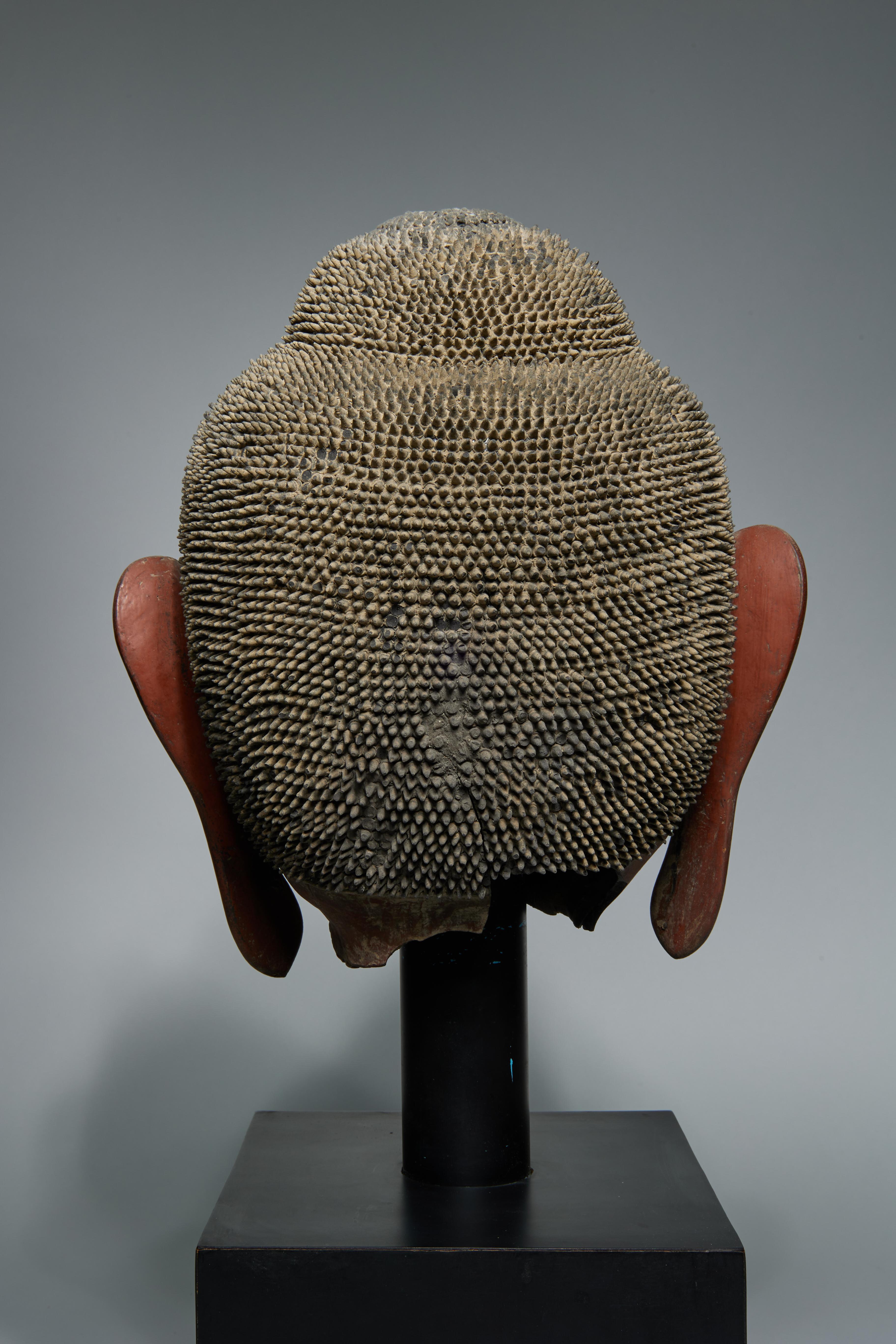 19th Century Burmese School Buddha Head of the Shan (Tai Yai) Style - Marron Figurative Sculpture par Unknown