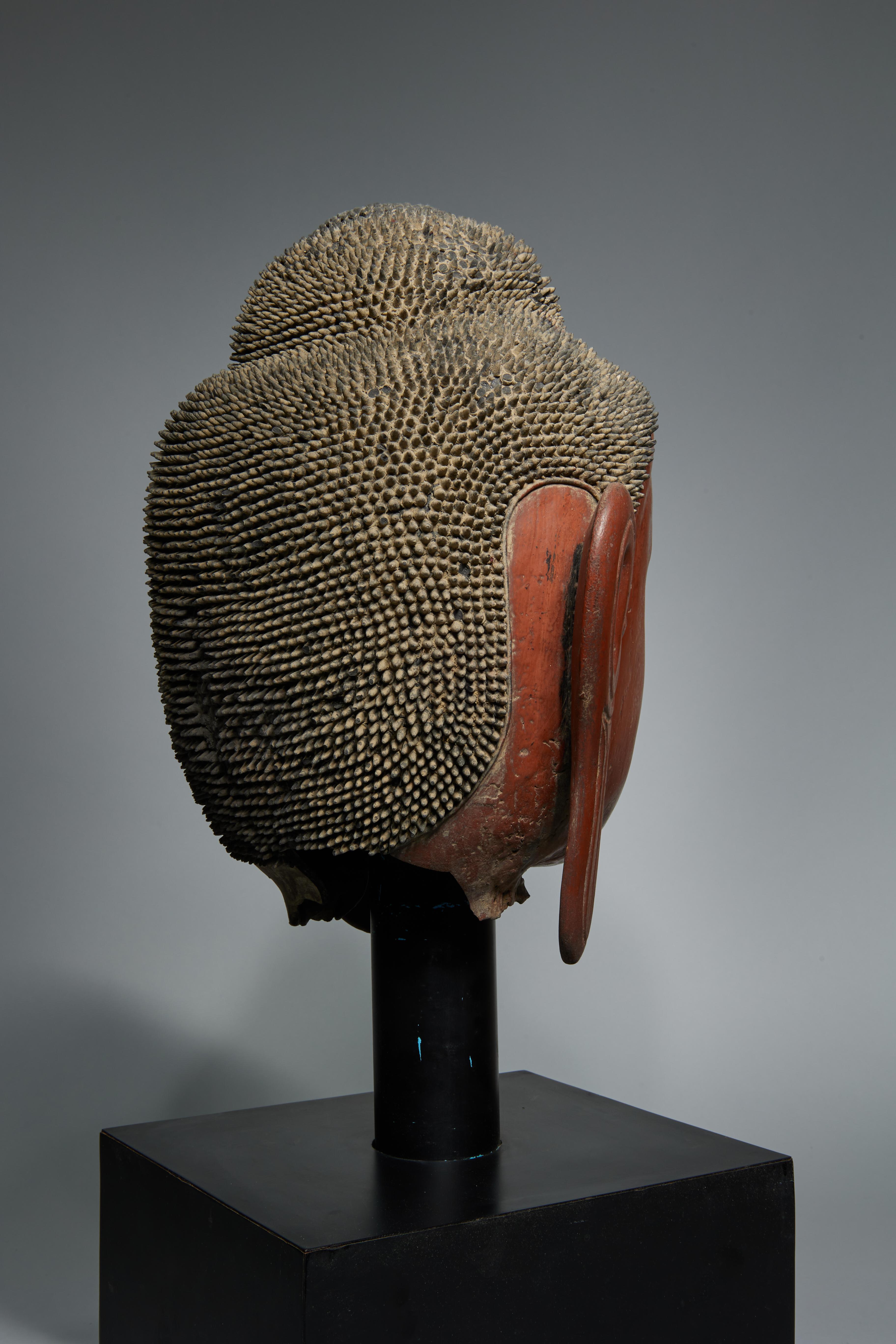 Burmese School, 19th Century
Buddha Head of the Shan (Tai Yai) Style
Wood with red lacquered pigment
25 x 13 x 10 inches

dry lacquer form with finely sculpted features such as the elaborate ushnisha atop his head. The elongated earlobes touch the