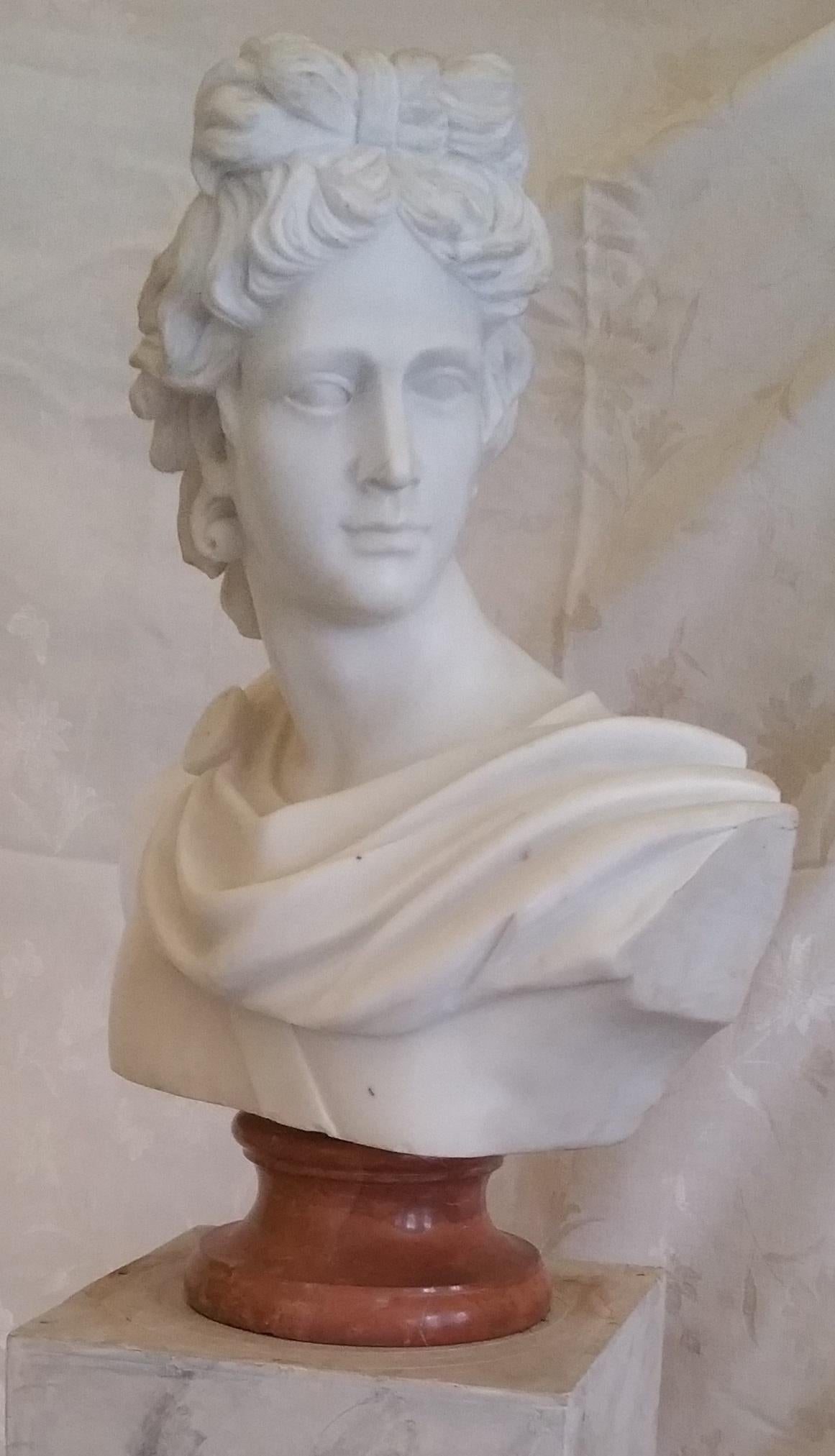 Busto in marmo Grand Tour di un giovane Apollo (fine XIX secolo) 
Busto in marmo su base girevole in marmo 
Senza segno
24 ½