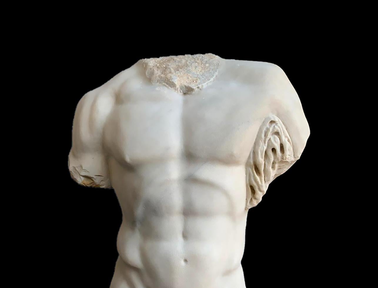 19th Century SculptureTorso  Hercules Farnese Italian White Marble 3