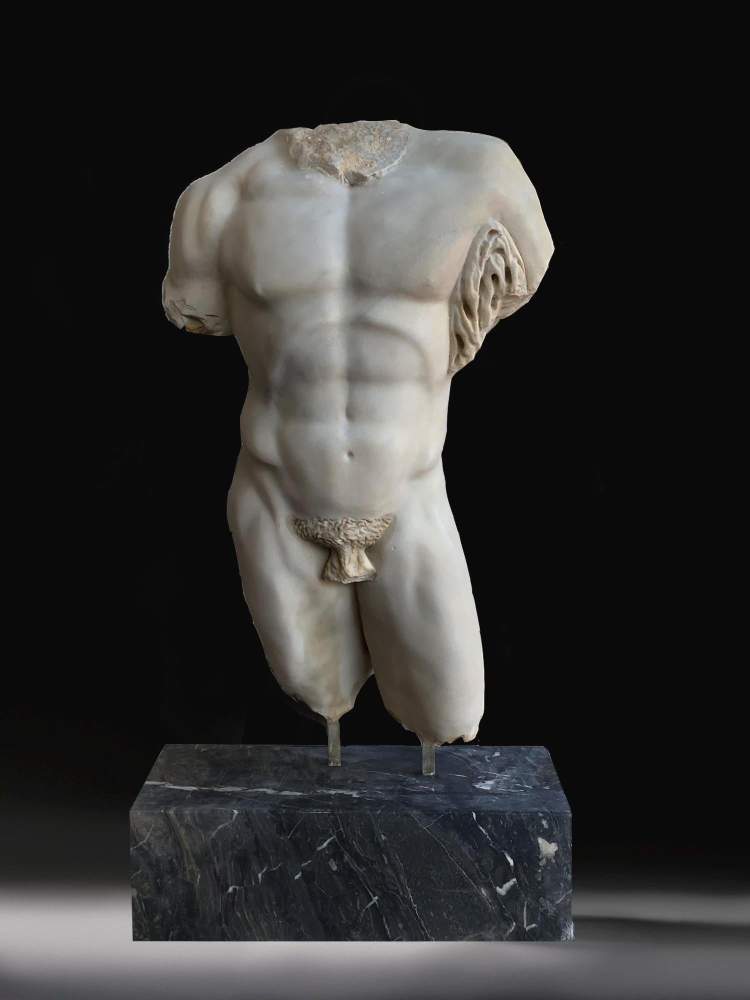 Unknown Nude Sculpture - 19th Century SculptureTorso  Hercules Farnese Italian White Marble 