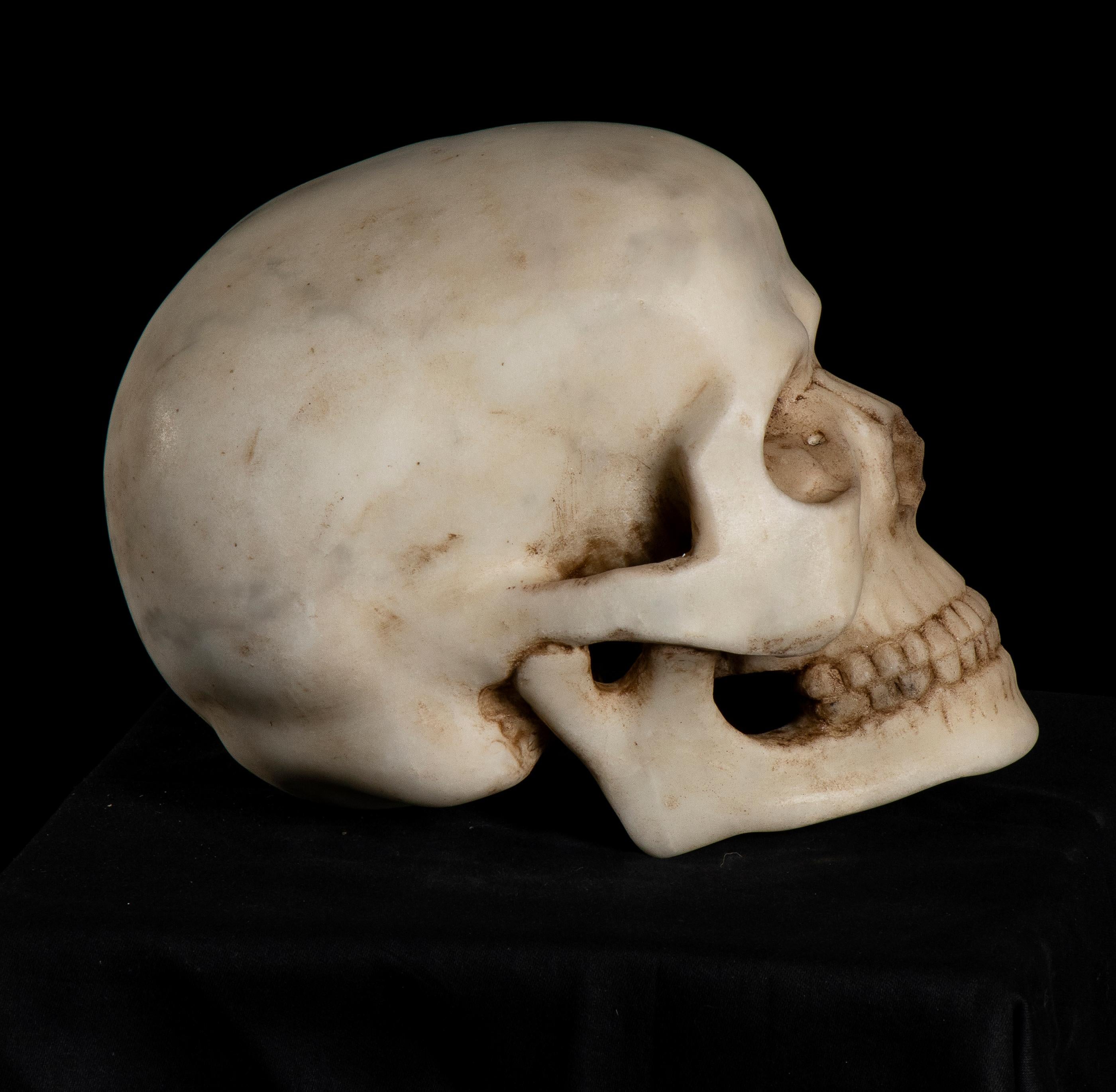 19th Century, White Marble Sculpture A Depiction of Vanitas, Skull Memento Mori  4