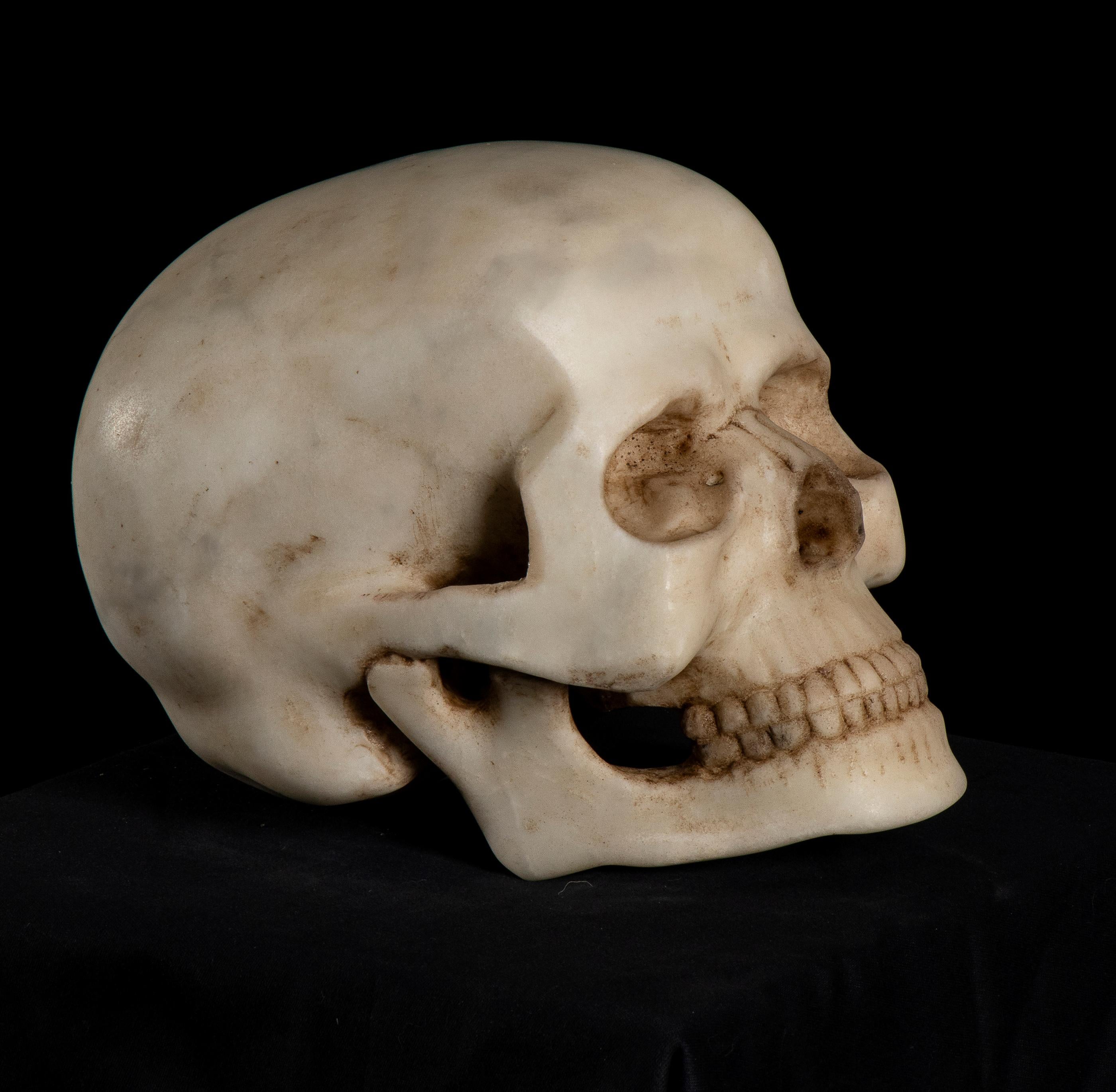 19th Century, White Marble Sculpture A Depiction of Vanitas, Skull Memento Mori  5