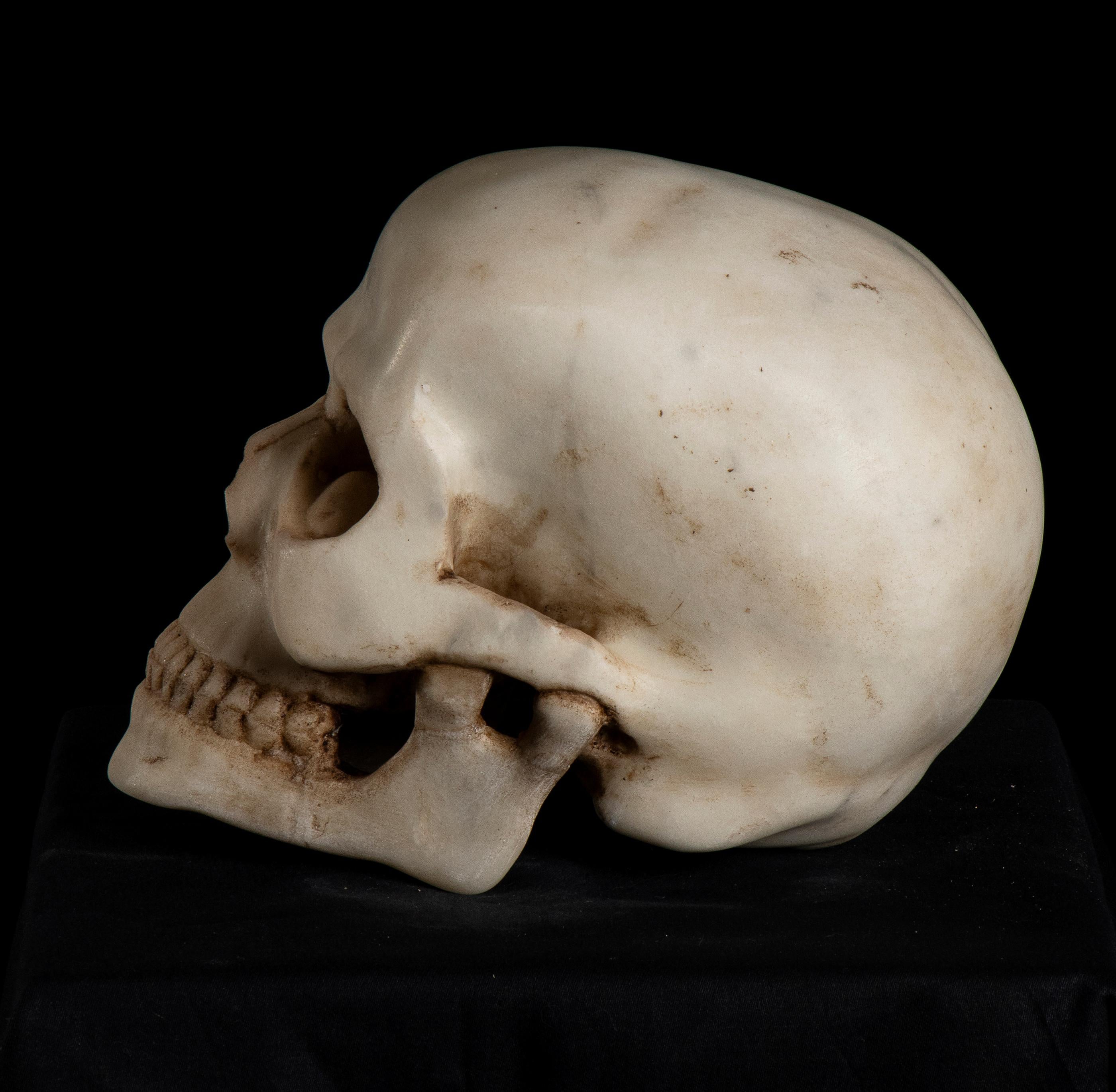 19th Century, White Marble Sculpture A Depiction of Vanitas, Skull Memento Mori  - Black Nude Sculpture by Unknown