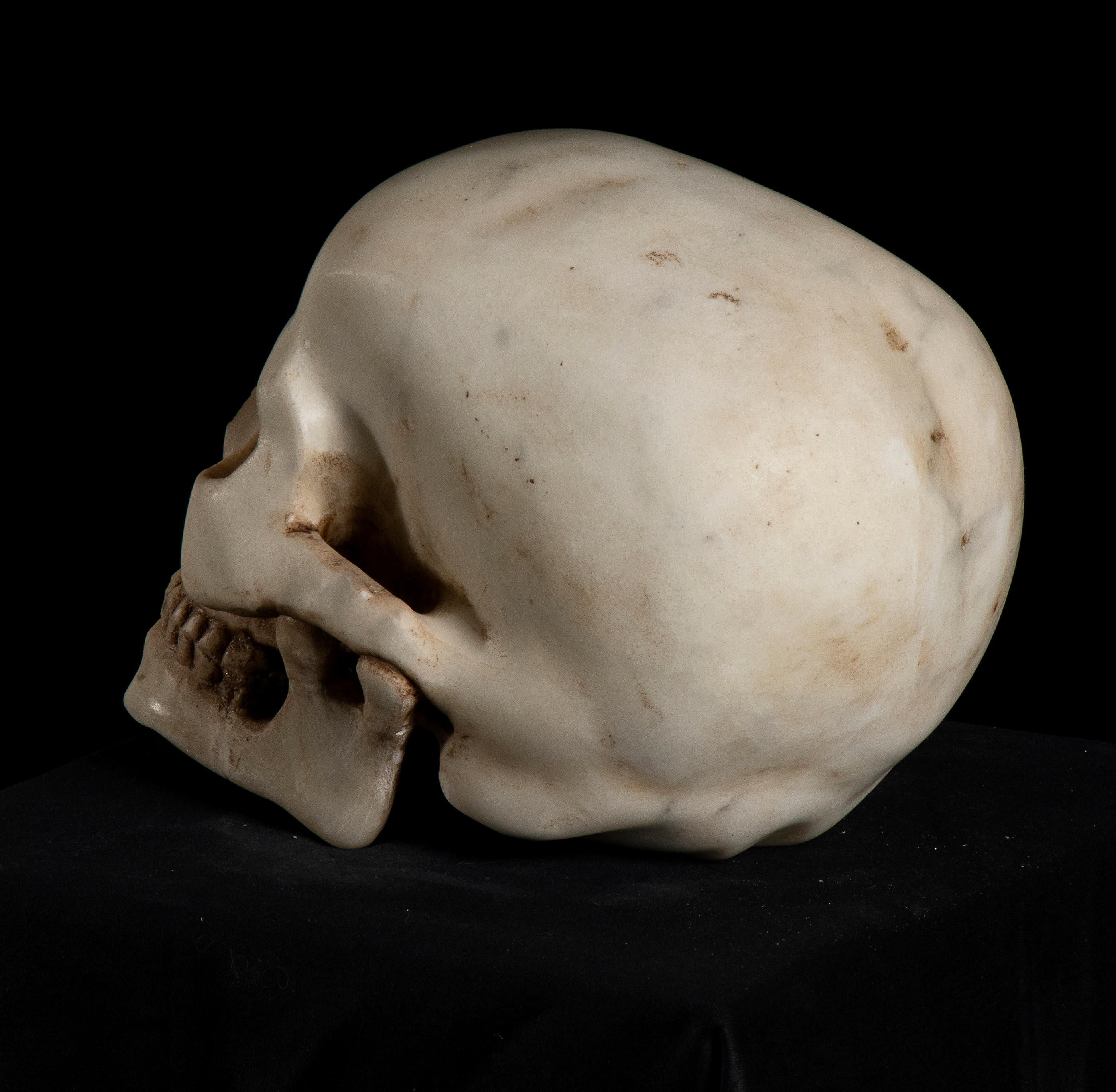 19th century, a depiction of Vanitas, skull in white marble. A vanitas is a symbolic work of art showing the transience of life, the futility of pleasure, and the certainty of death, often contrasting symbols of wealth and symbols of ephemerality