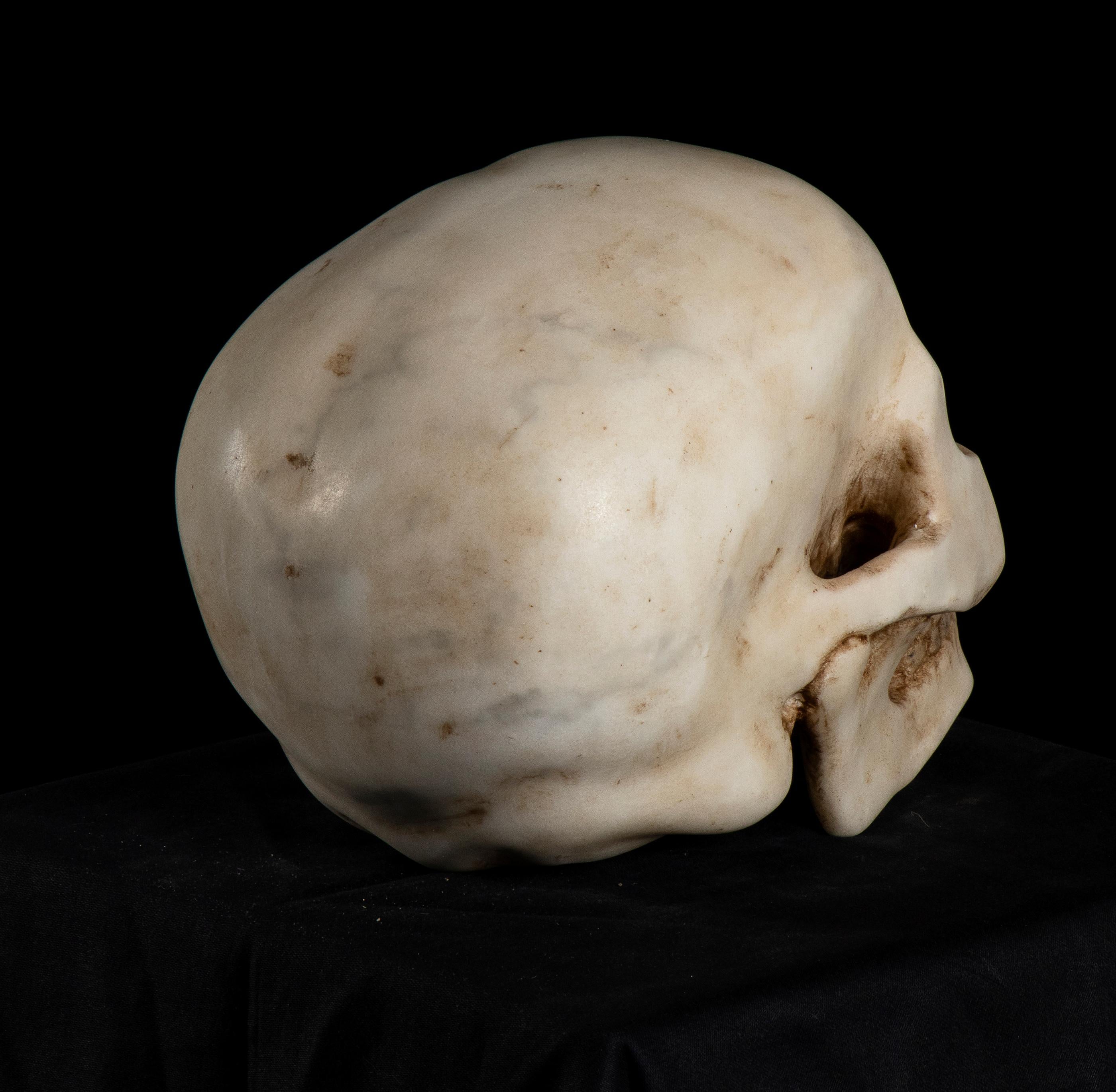 19th Century, White Marble Sculpture A Depiction of Vanitas, Skull Memento Mori  2