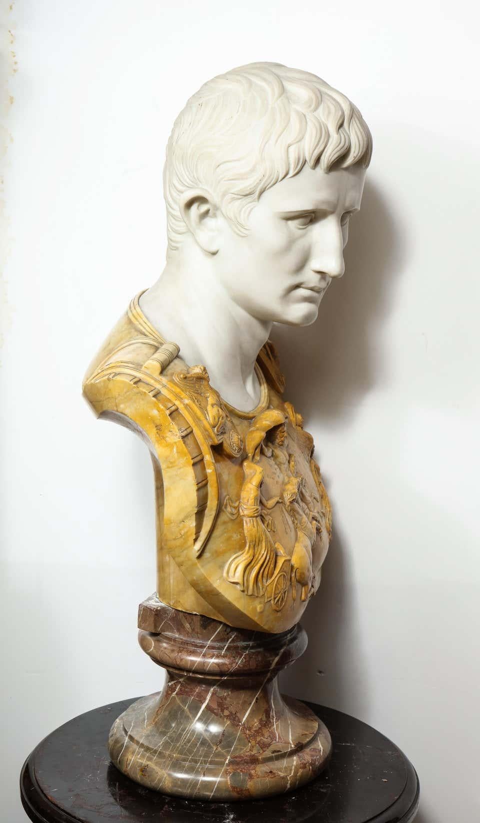 A Museum Quality Carrara and Sienna Marble Bust of Julius Augustus Caesar, 1850 4
