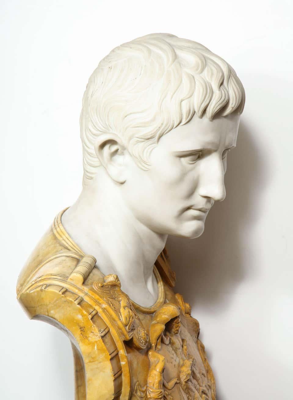 A Museum Quality Carrara and Sienna Marble Bust of Julius Augustus Caesar, 1850 3