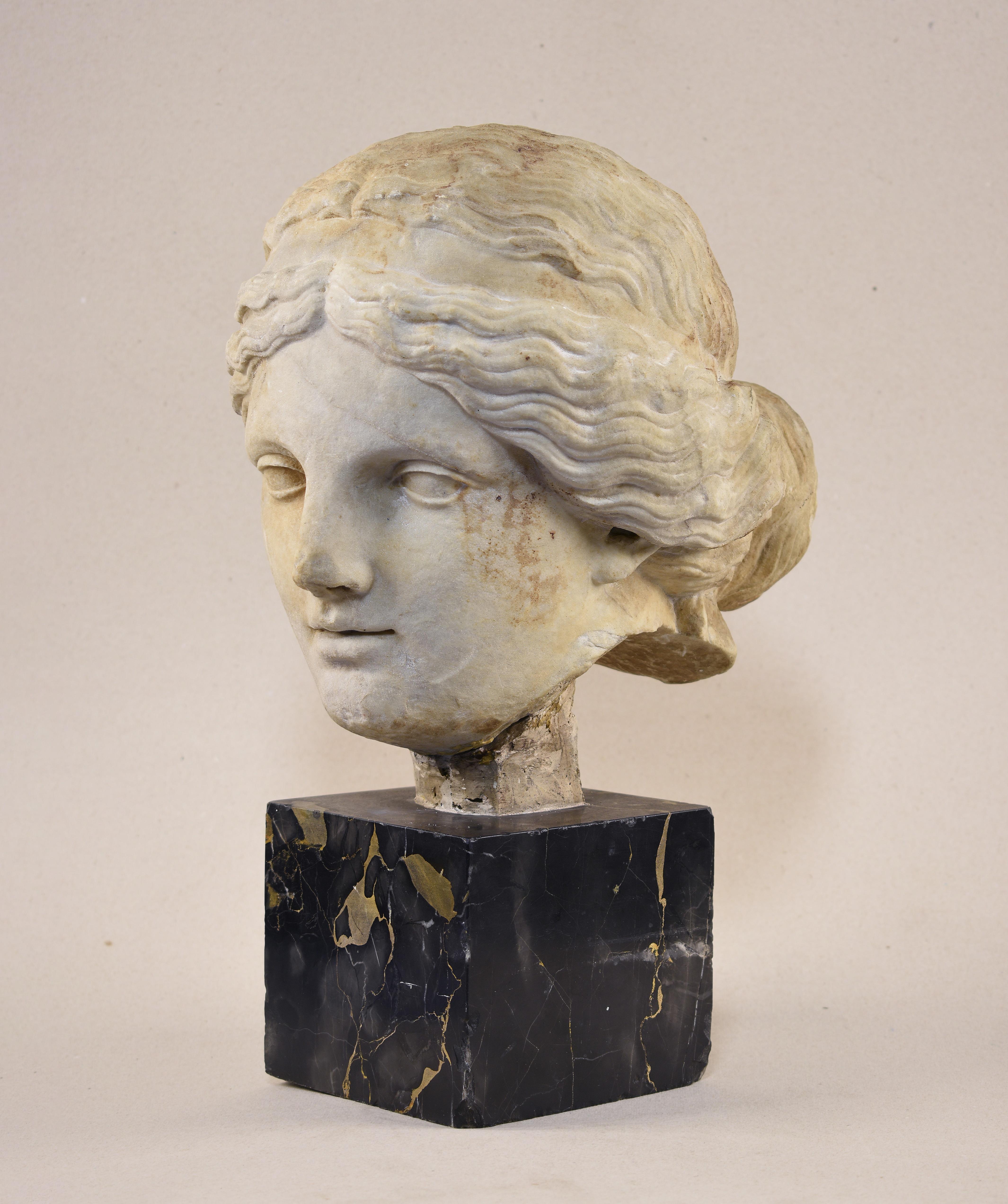 A Roman marble head of Venus