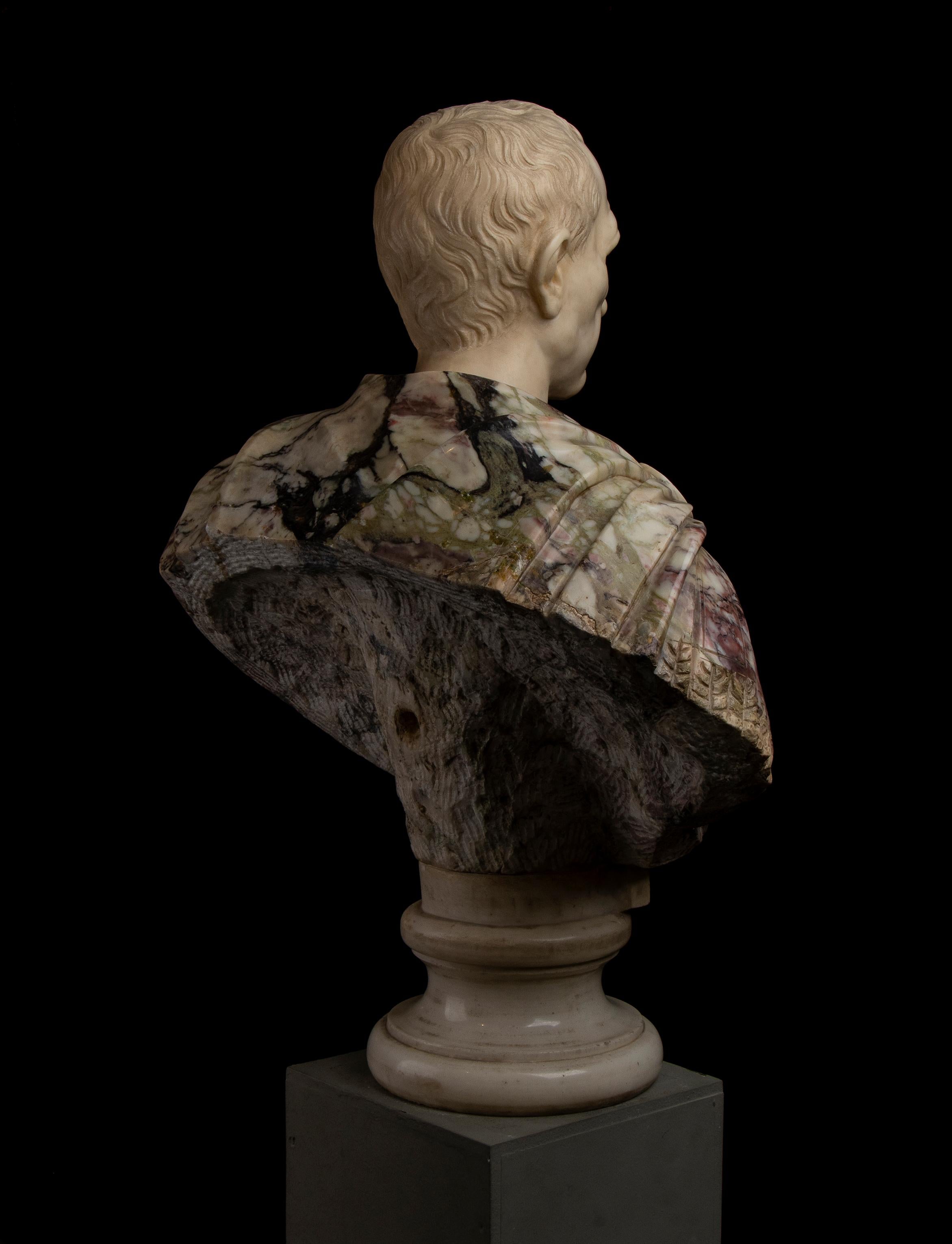 Busto di ritratto di Giulio Cesare in marmo bianco e breccia di Paonazzo romano del 19° secolo in vendita 7