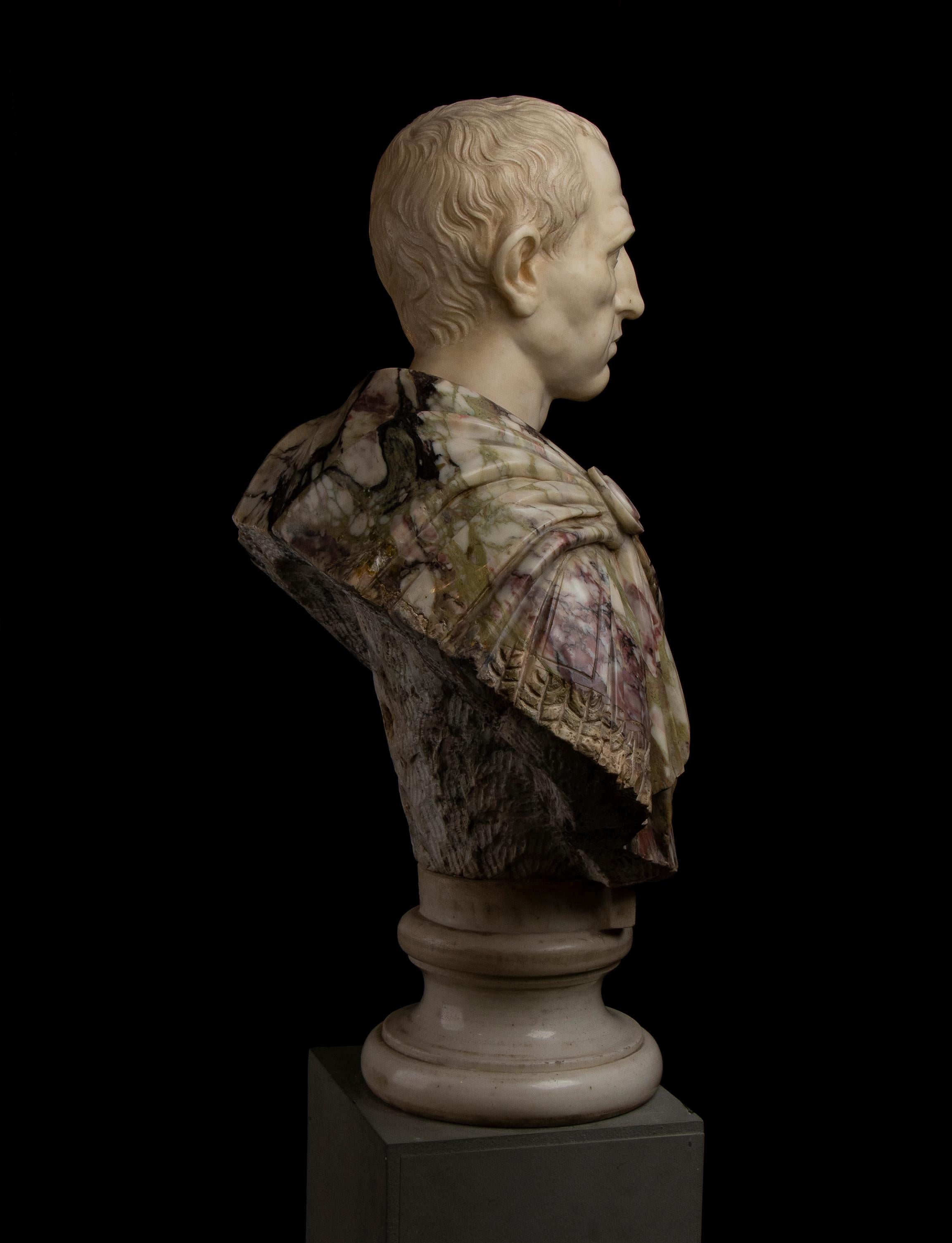 Busto di ritratto di Giulio Cesare in marmo bianco e breccia di Paonazzo romano del 19° secolo in vendita 8