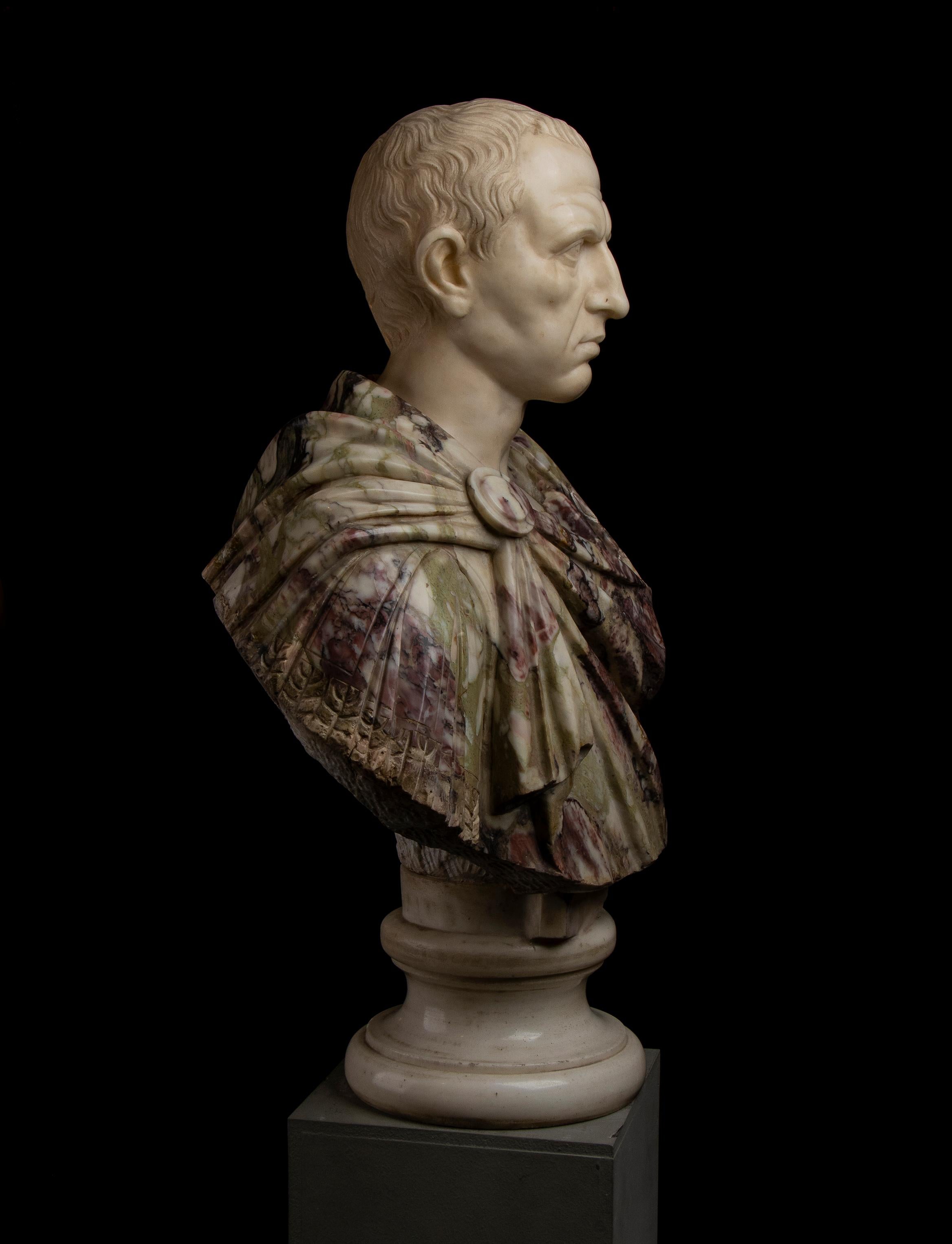 Busto di ritratto di Giulio Cesare in marmo bianco e breccia di Paonazzo romano del 19° secolo in vendita 9