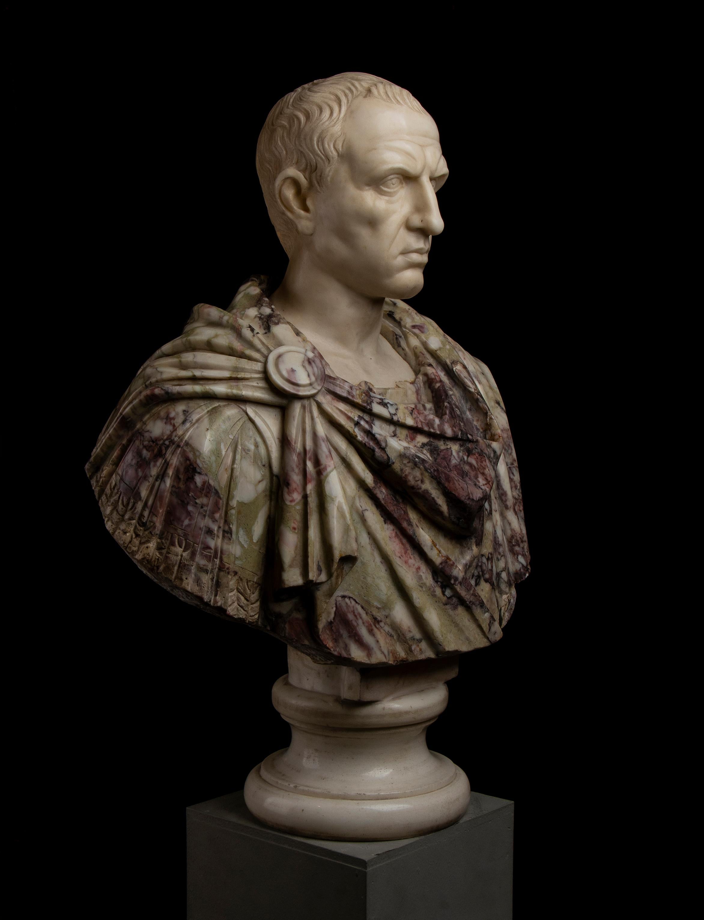 Busto di ritratto di Giulio Cesare in marmo bianco e breccia di Paonazzo romano del 19° secolo in vendita 10