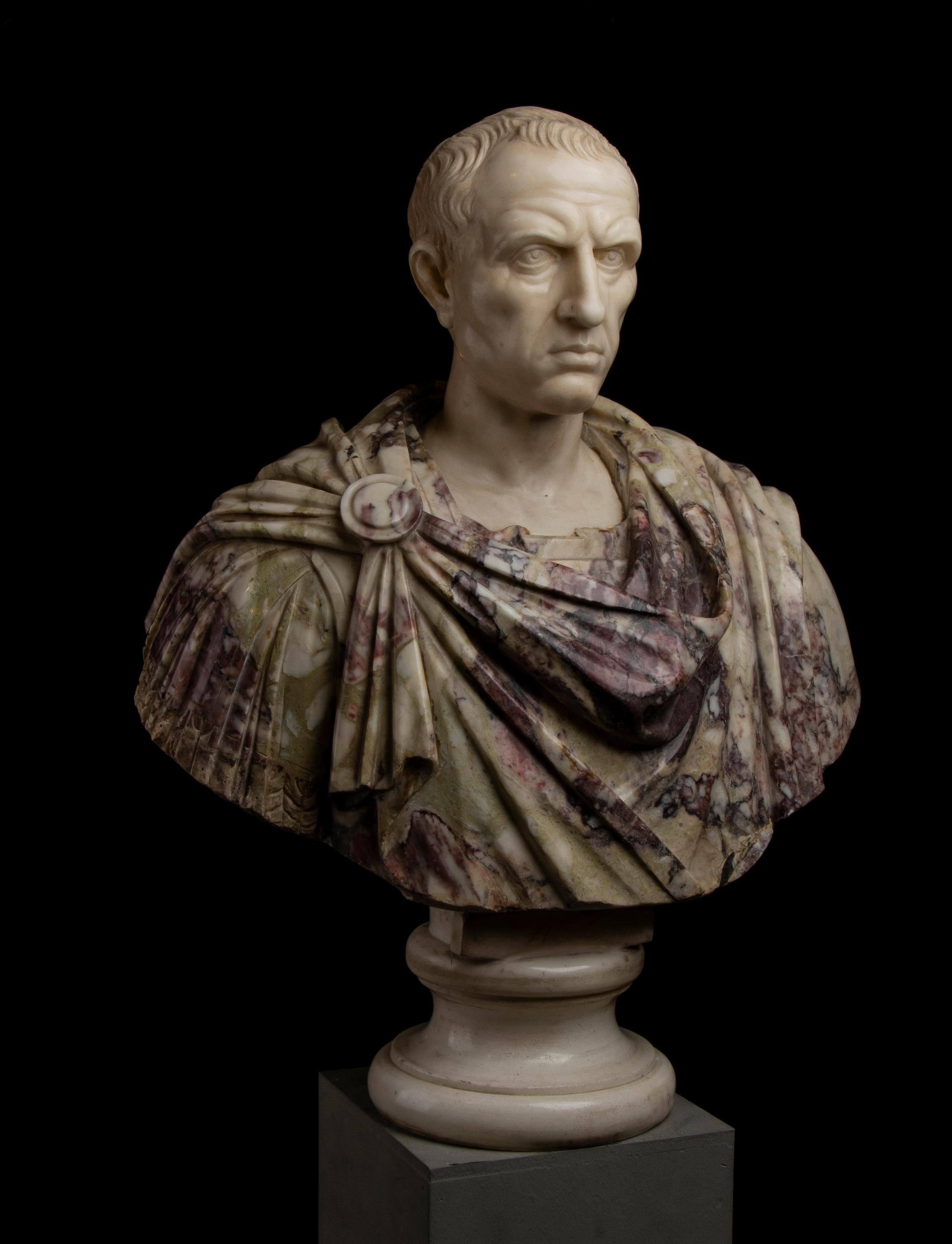 Busto di ritratto di Giulio Cesare in marmo bianco e breccia di Paonazzo romano del 19° secolo in vendita 11
