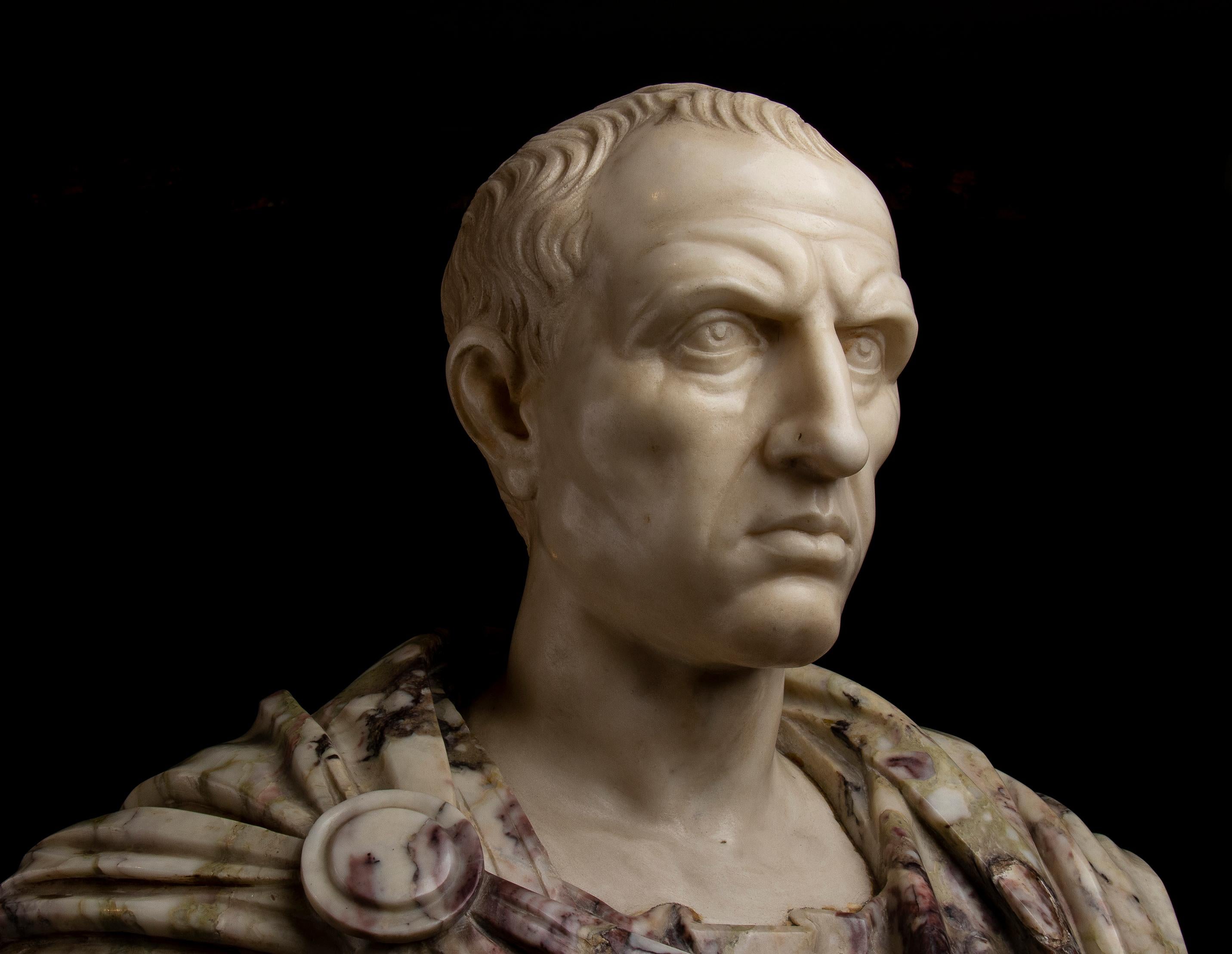 Busto di ritratto di Giulio Cesare in marmo bianco e breccia di Paonazzo romano del 19° secolo in vendita 13