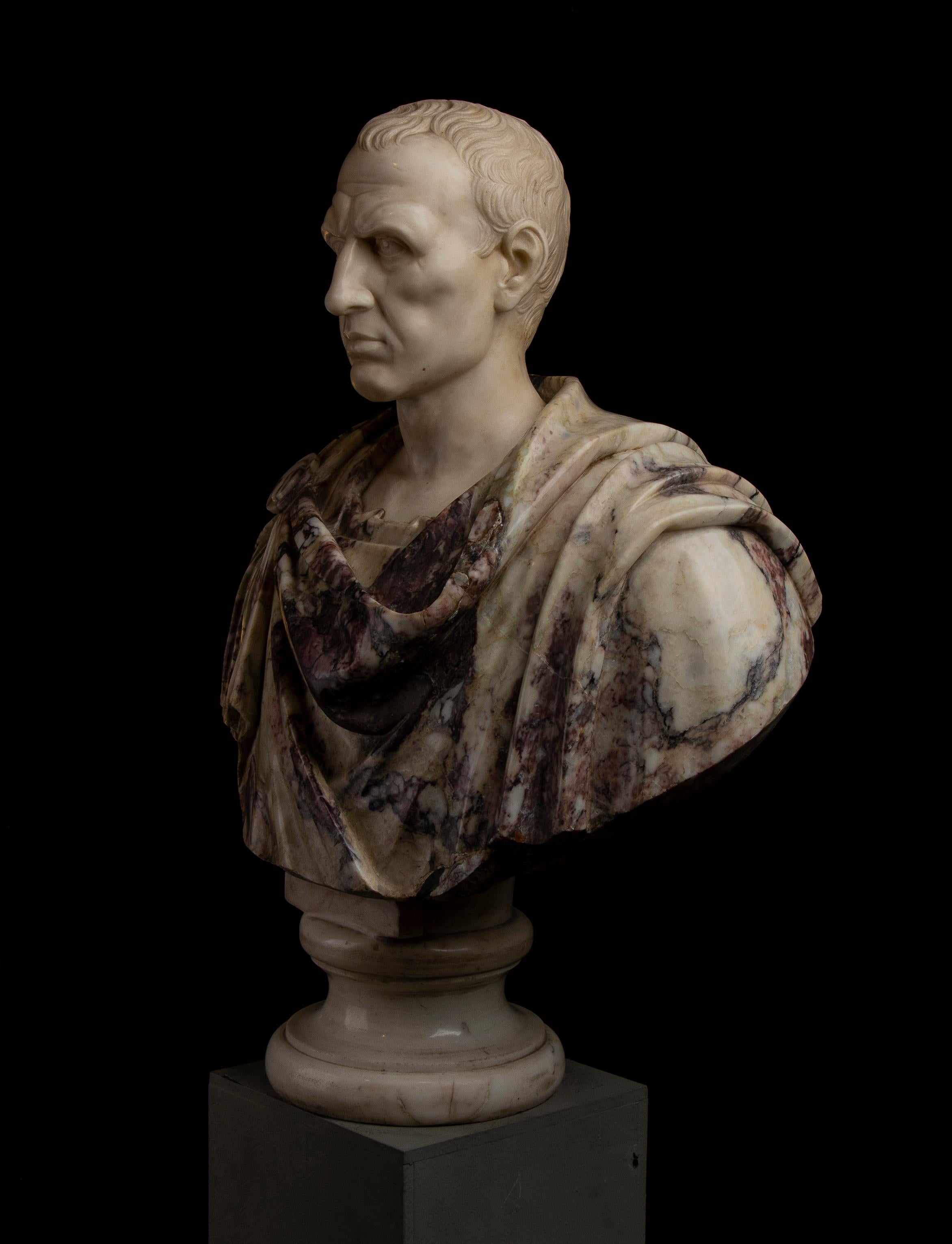 Busto ritratto di Giulio Cesare in marmo bianco e breccia di Paonazzo romano del XIX secolo, di dimensioni monumentali, con la testa dell'imperatore  Il suo viso maturo, con un'espressione pensierosa, gli occhi profondi con iride incisa e pupille