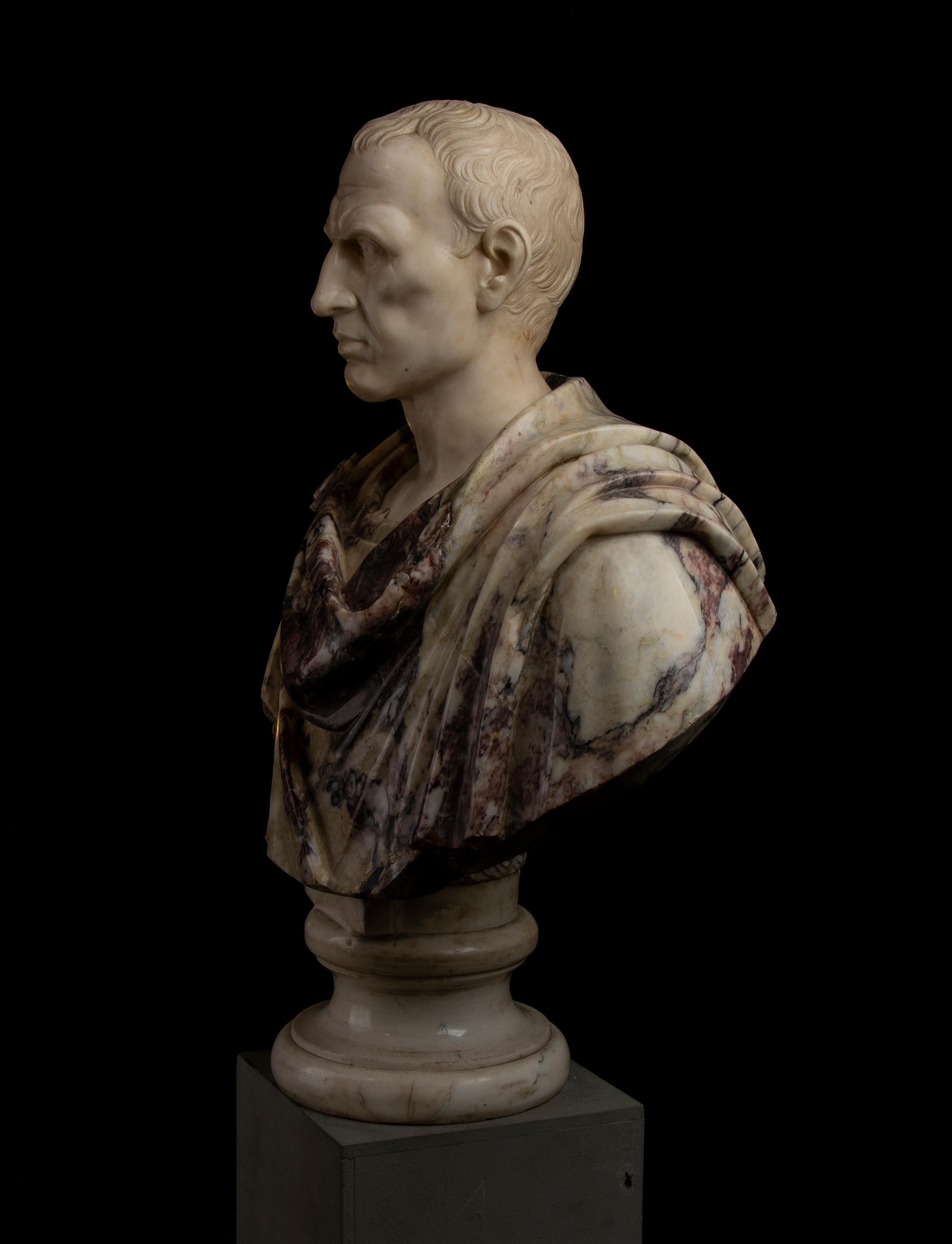 Busto di ritratto di Giulio Cesare in marmo bianco e breccia di Paonazzo romano del 19° secolo in vendita 1