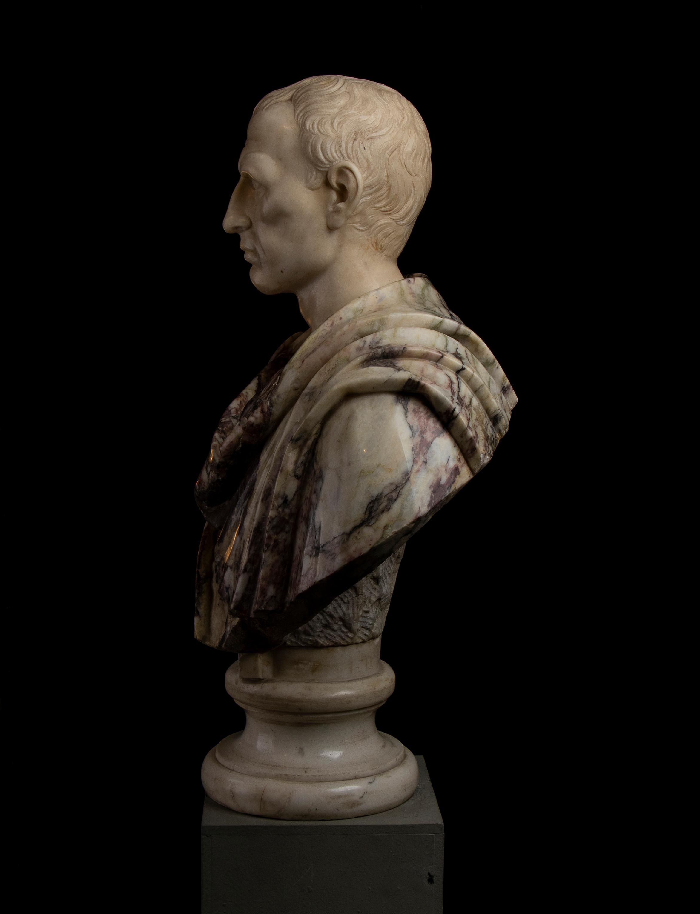 Busto di ritratto di Giulio Cesare in marmo bianco e breccia di Paonazzo romano del 19° secolo in vendita 2