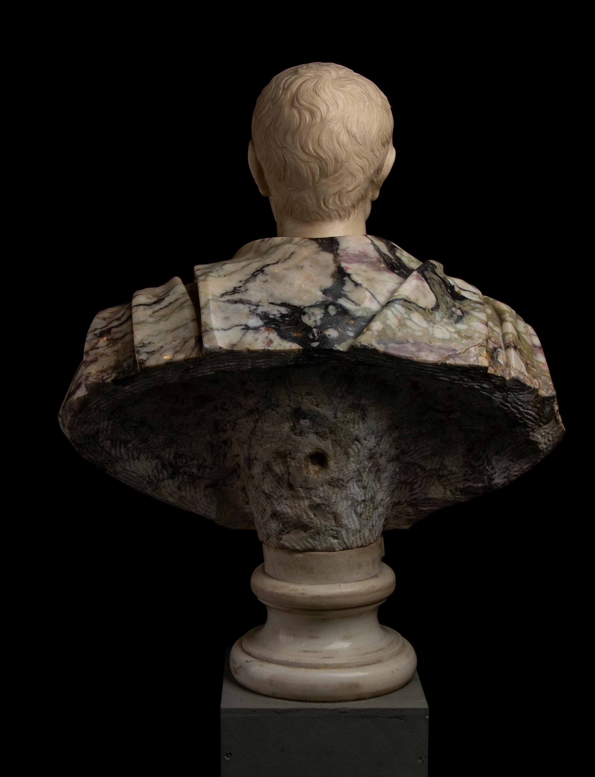 Busto di ritratto di Giulio Cesare in marmo bianco e breccia di Paonazzo romano del 19° secolo in vendita 5