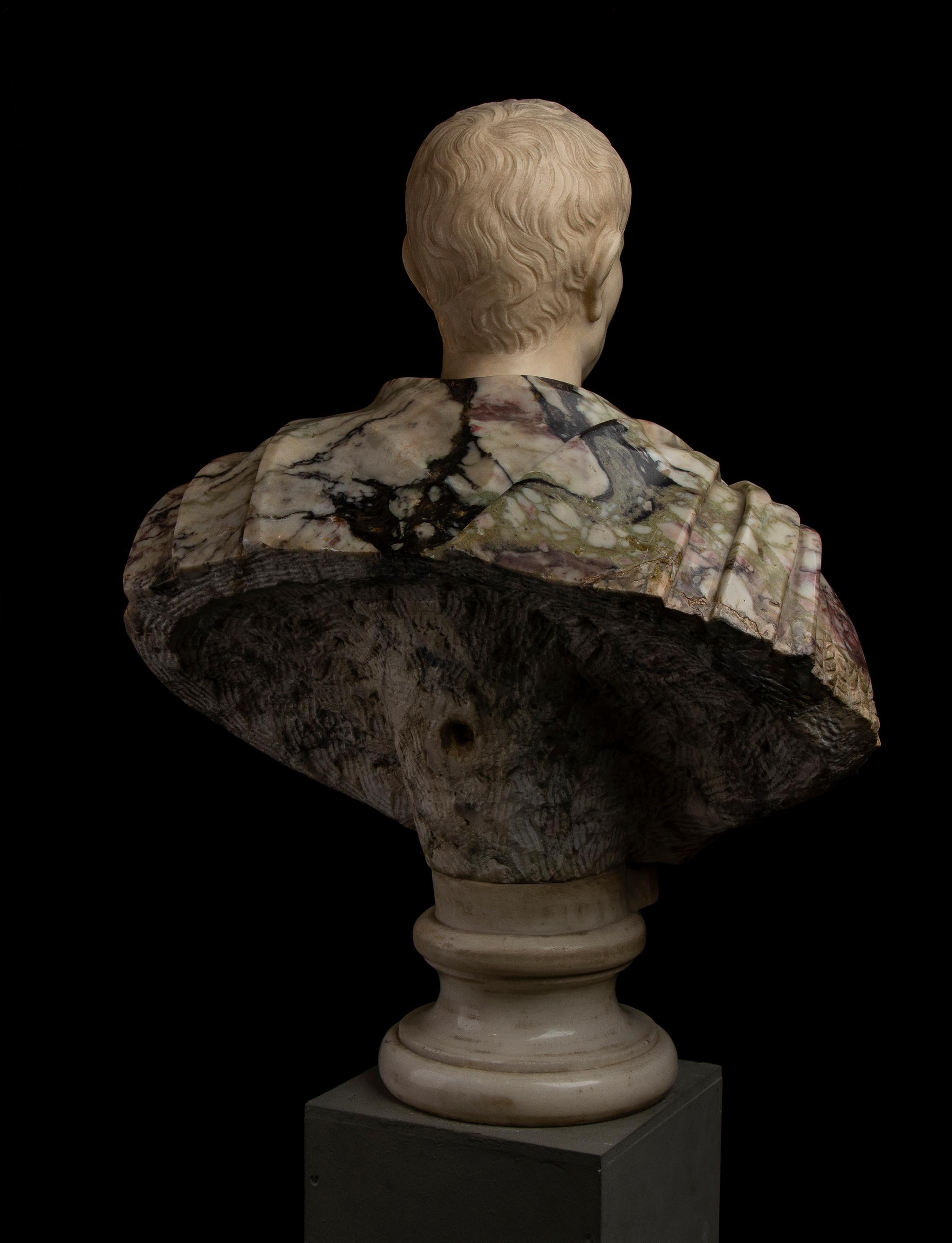 Busto di ritratto di Giulio Cesare in marmo bianco e breccia di Paonazzo romano del 19° secolo in vendita 6