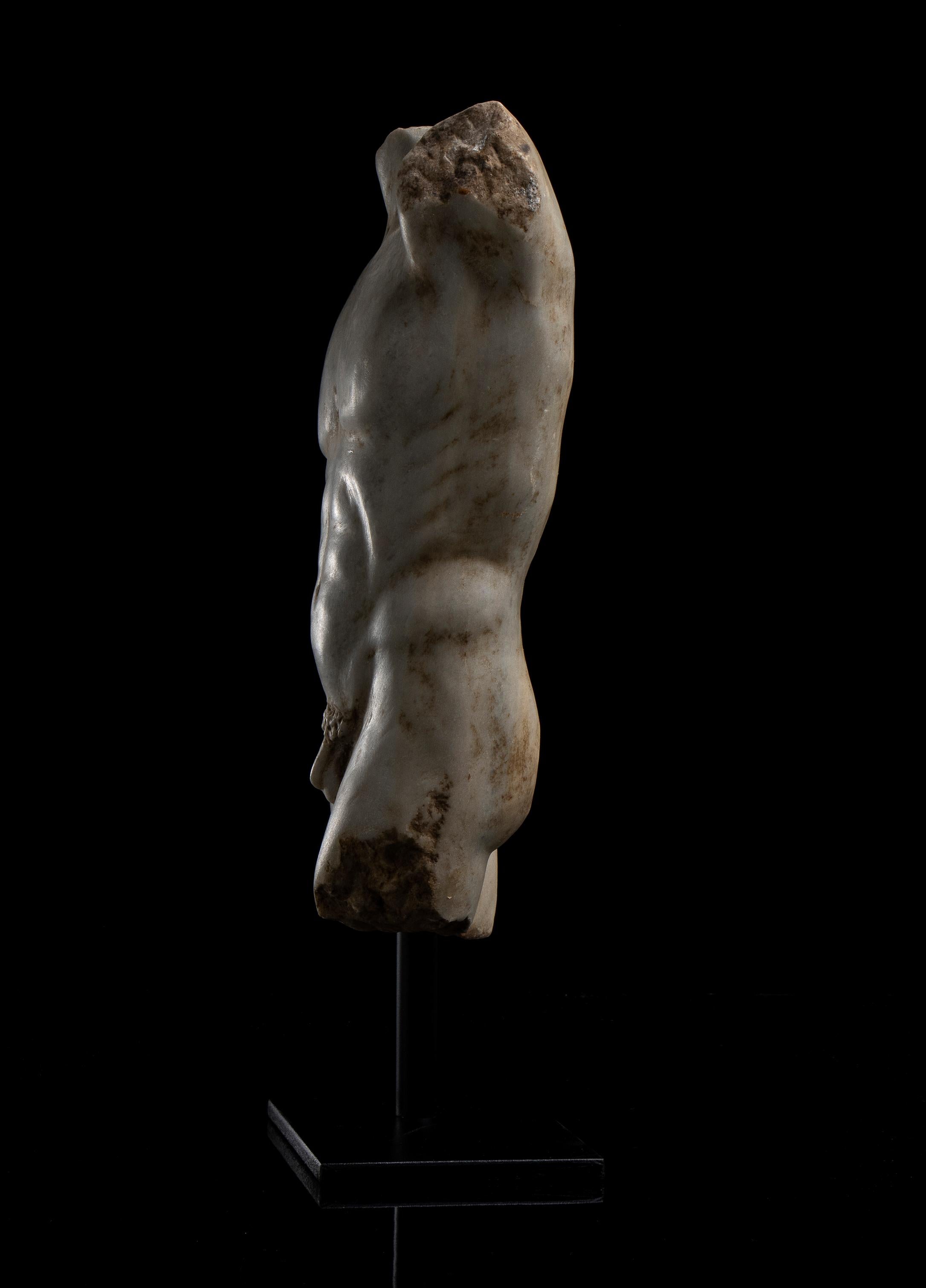 Sculpture romaine en marbre blanc Statuaire Torse d'athlète Grand Tour 19ème 2