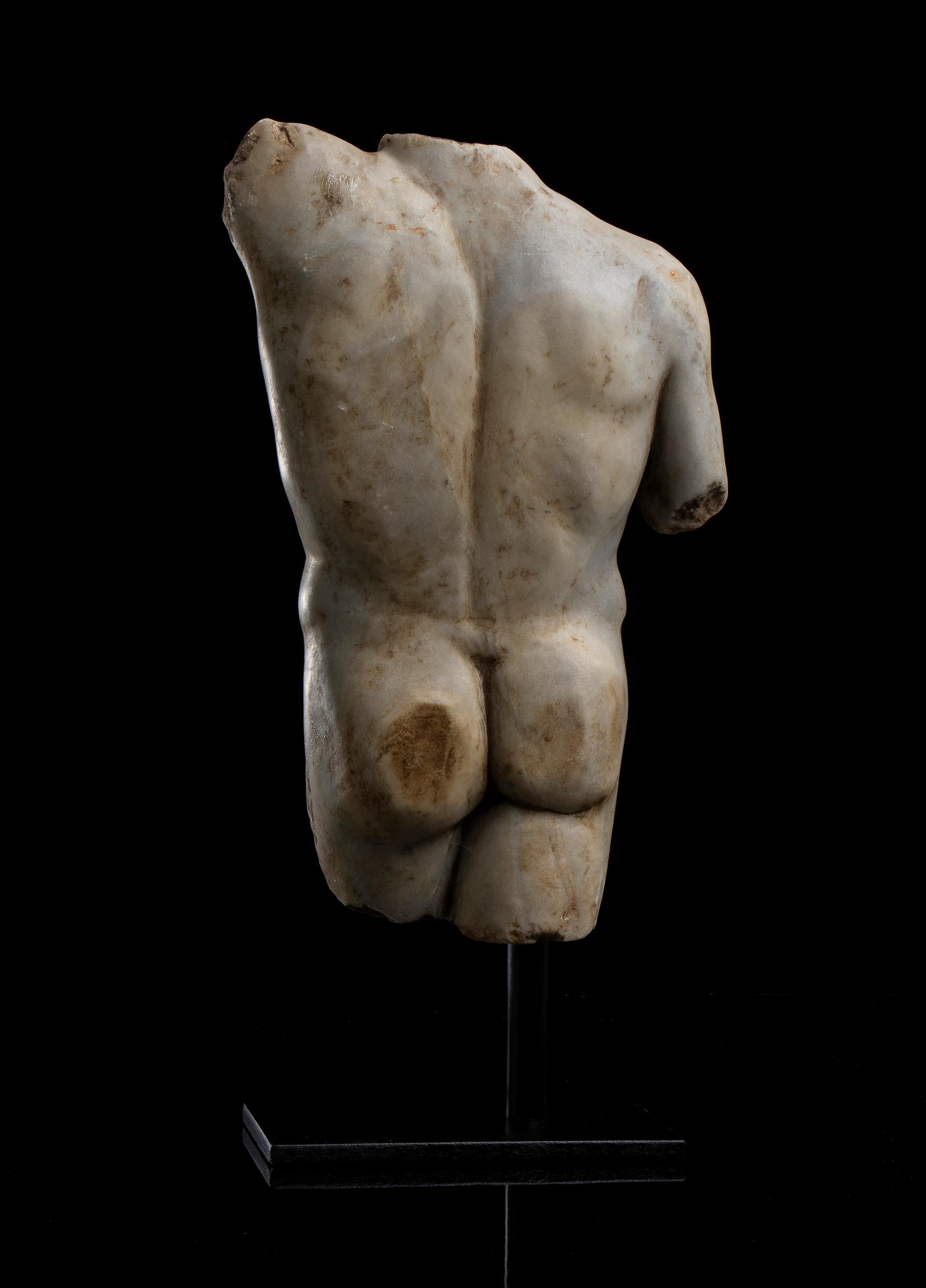 Sculpture romaine en marbre blanc Statuaire Torse d'athlète Grand Tour 19ème 5