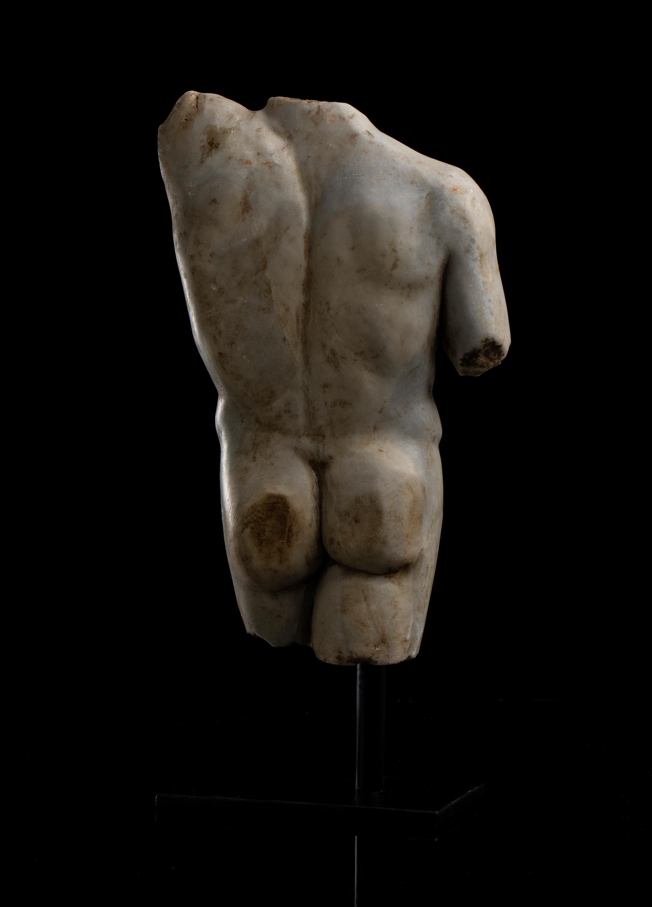 Sculpture romaine en marbre blanc Statuaire Torse d'athlète Grand Tour 19ème 6