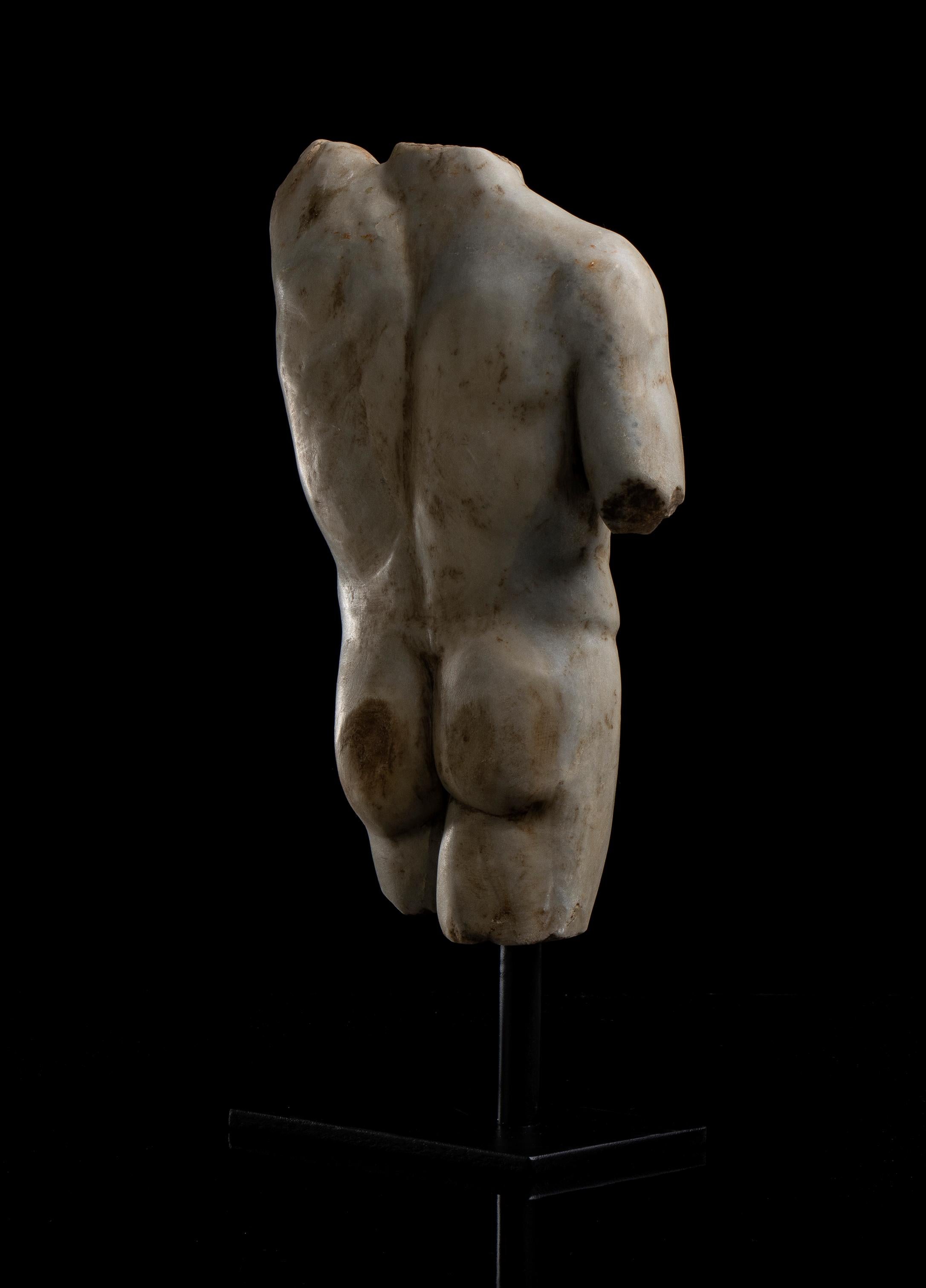 Sculpture romaine en marbre blanc Statuaire Torse d'athlète Grand Tour 19ème 7