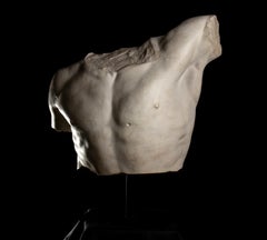 Academic Nude Sculpture Torso Of Antinous Grand Tour Plaster After the Antique