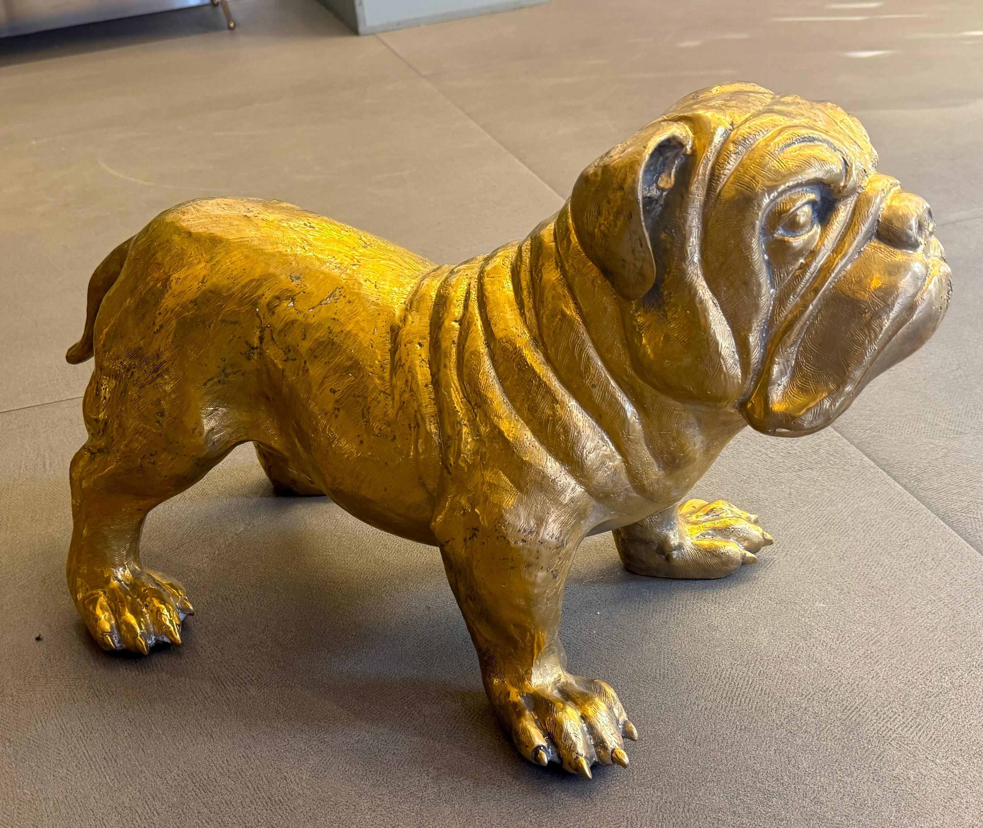 Splendida scultura in ottone di un bulldog francese - Sculpture di Unknown