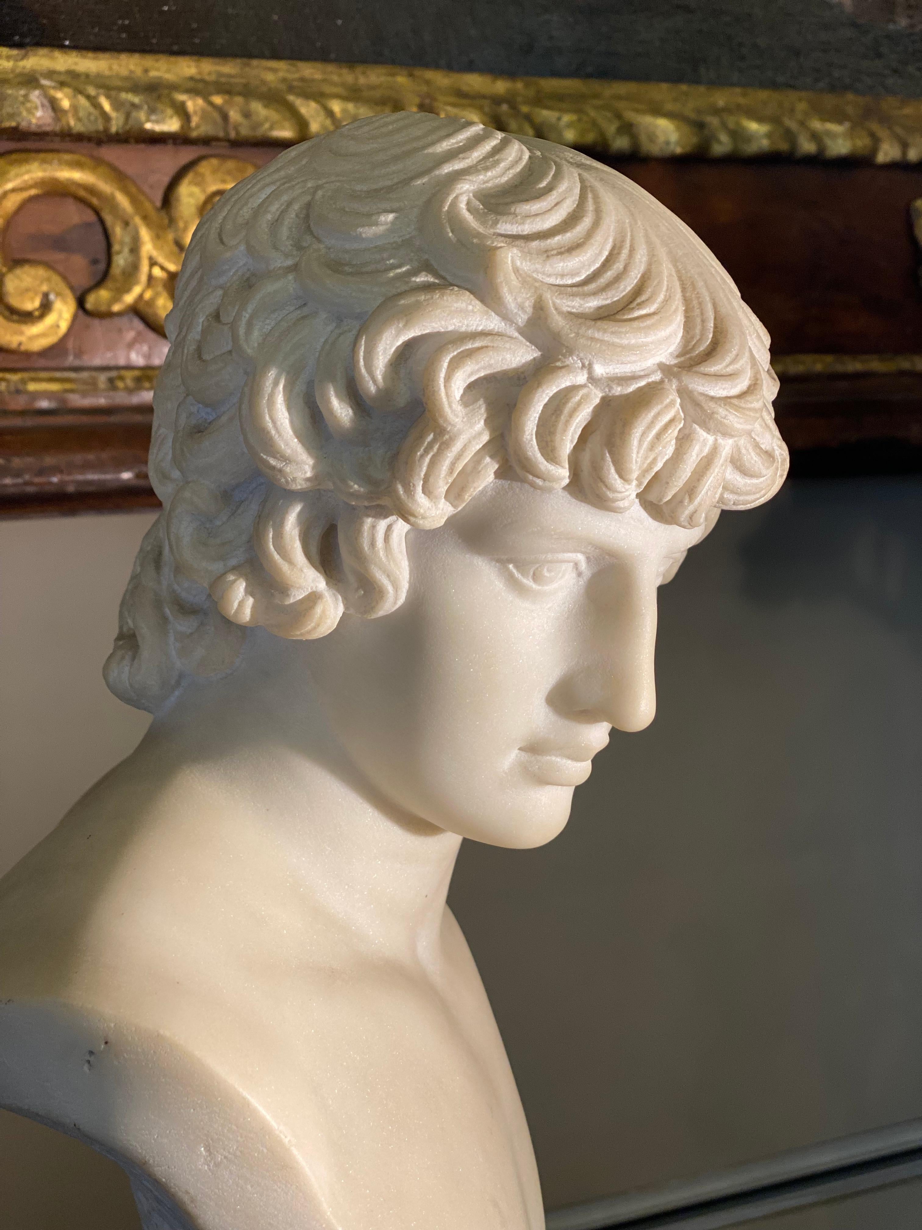 
Amazing early 19th century Italian finely carved Carrara marble bust of Antinoo , after the Antique .
Portrait of Antinous, a young  Bithinius favorite of the emperor Hadrian, who died at a young age in 130 AD. and then deified. The physiognomic