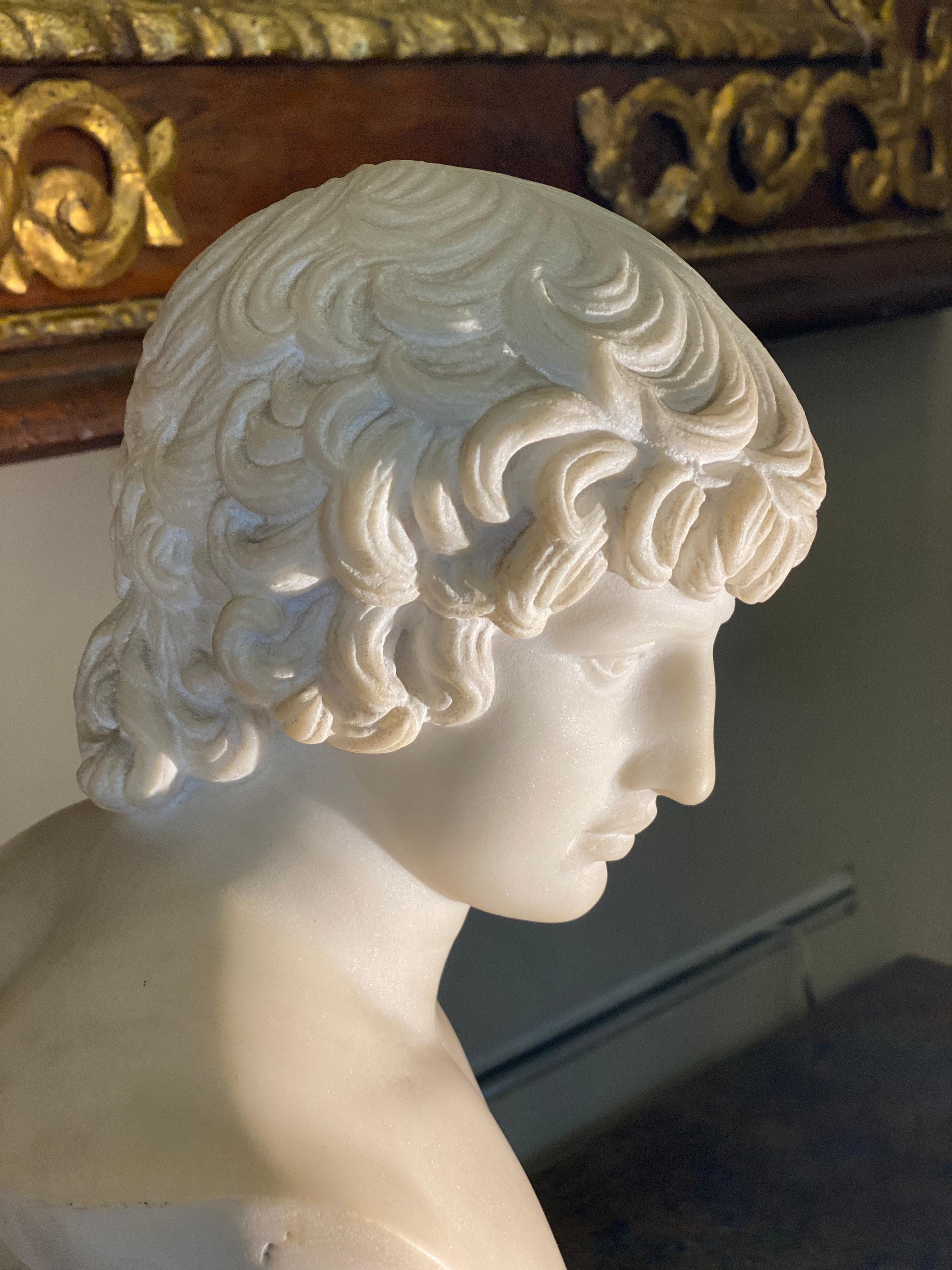 ANTINOUS Sensual Italian Neoclassical Carrara Marble Bust Sculpture 1