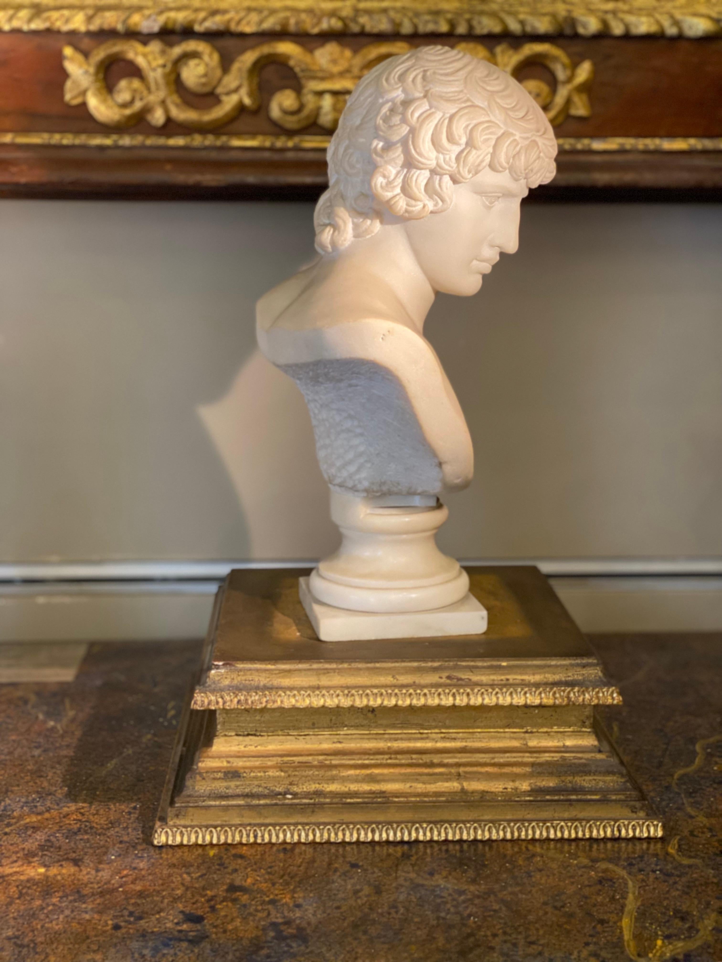 ANTINOUS Sensual Italian Neoclassical Carrara Marble Bust Sculpture 2