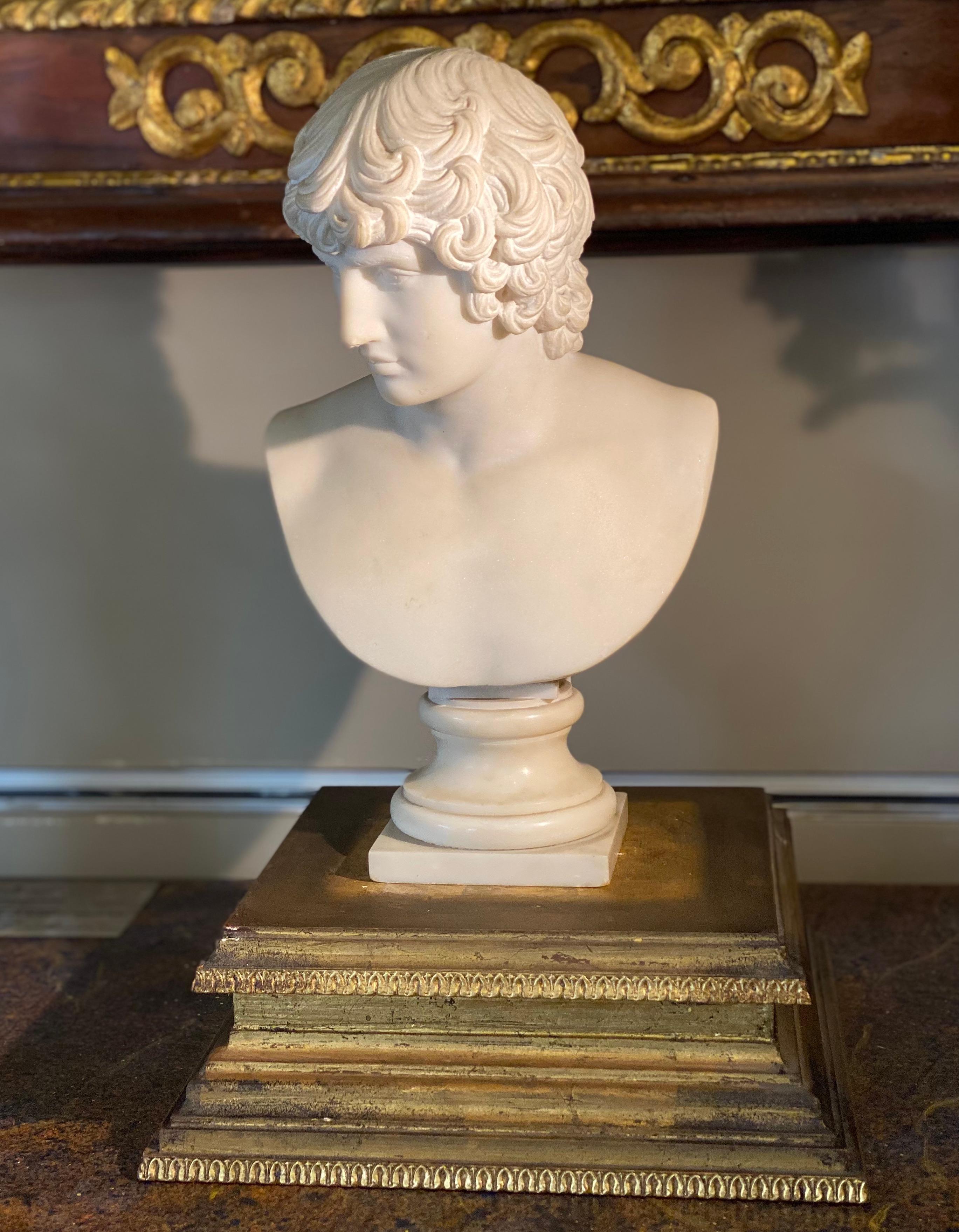ANTINOUS Sensual Italian Neoclassical Carrara Marble Bust Sculpture 5