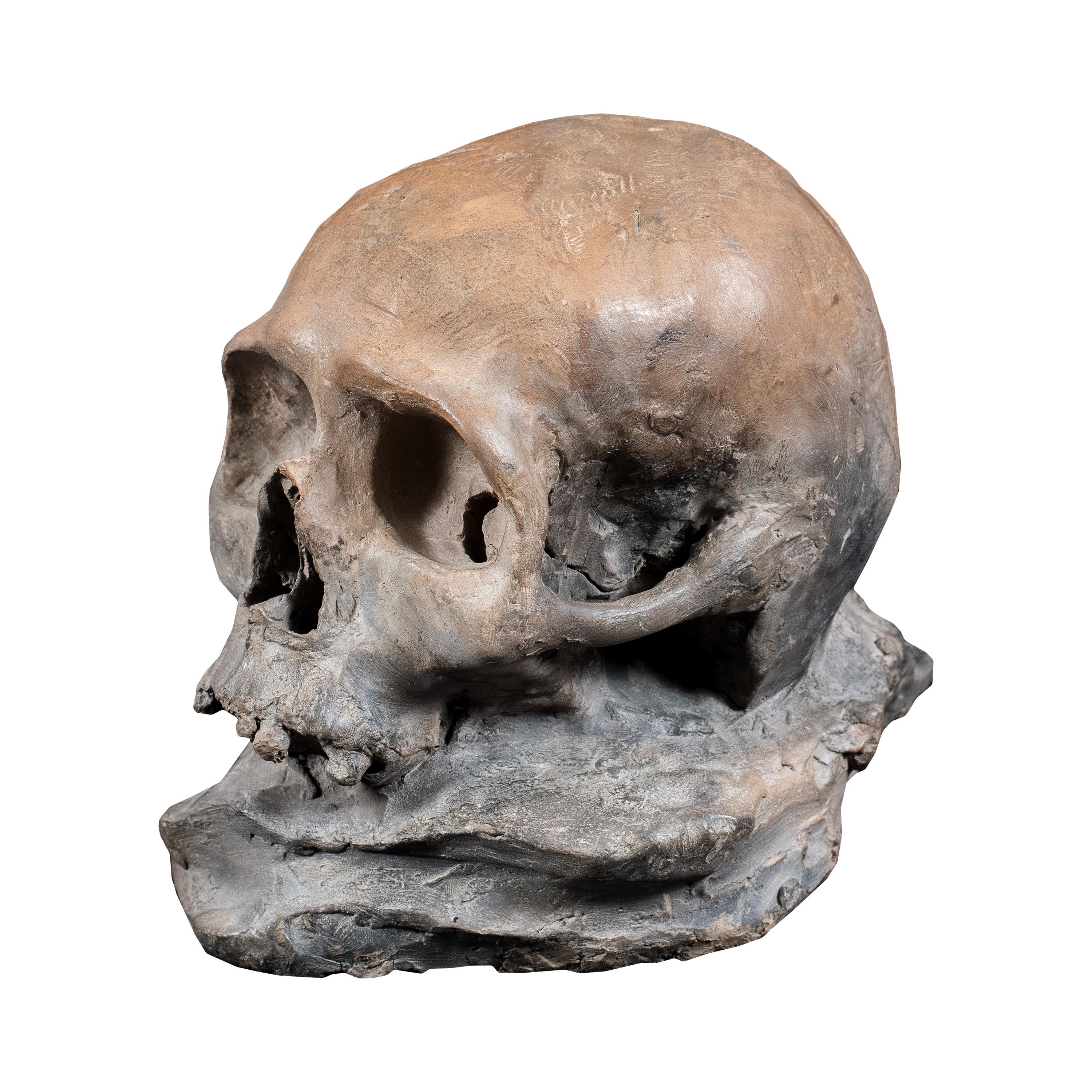 Antiker italienischer Bildhauer – Terrakotta-Skulptur aus dem 18.-19. Jahrhundert – Memento Mori – Sculpture von Unknown