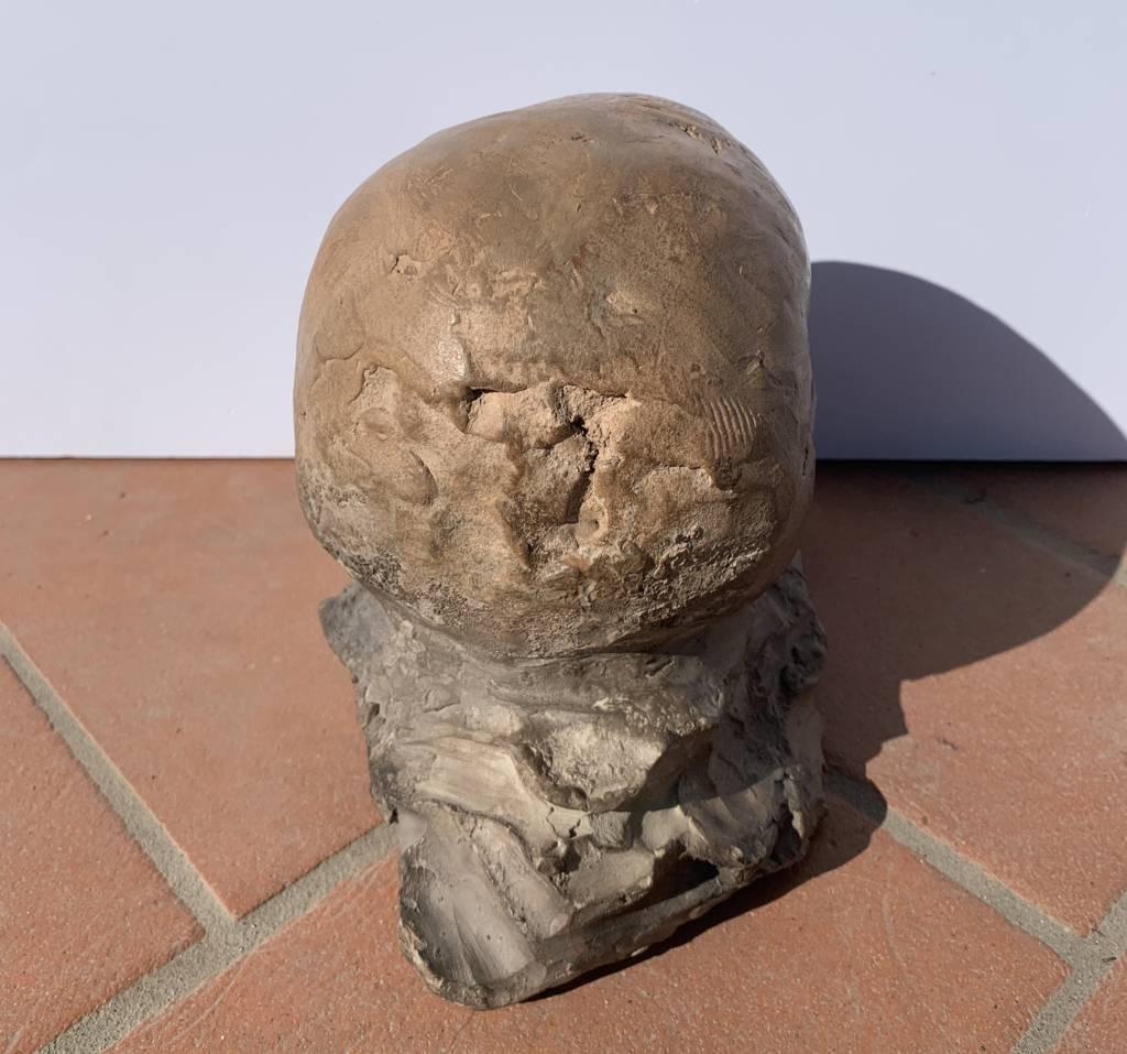 Antiker italienischer Bildhauer – Terrakotta-Skulptur aus dem 18.-19. Jahrhundert – Memento Mori im Angebot 1