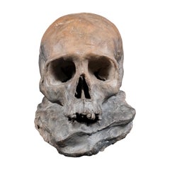 Escultor italiano antiguo - Escultura de terracota del siglo XVIII / XIX - Memento Mori