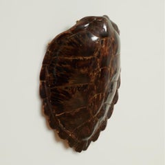 Antique Organic Turtle Shell