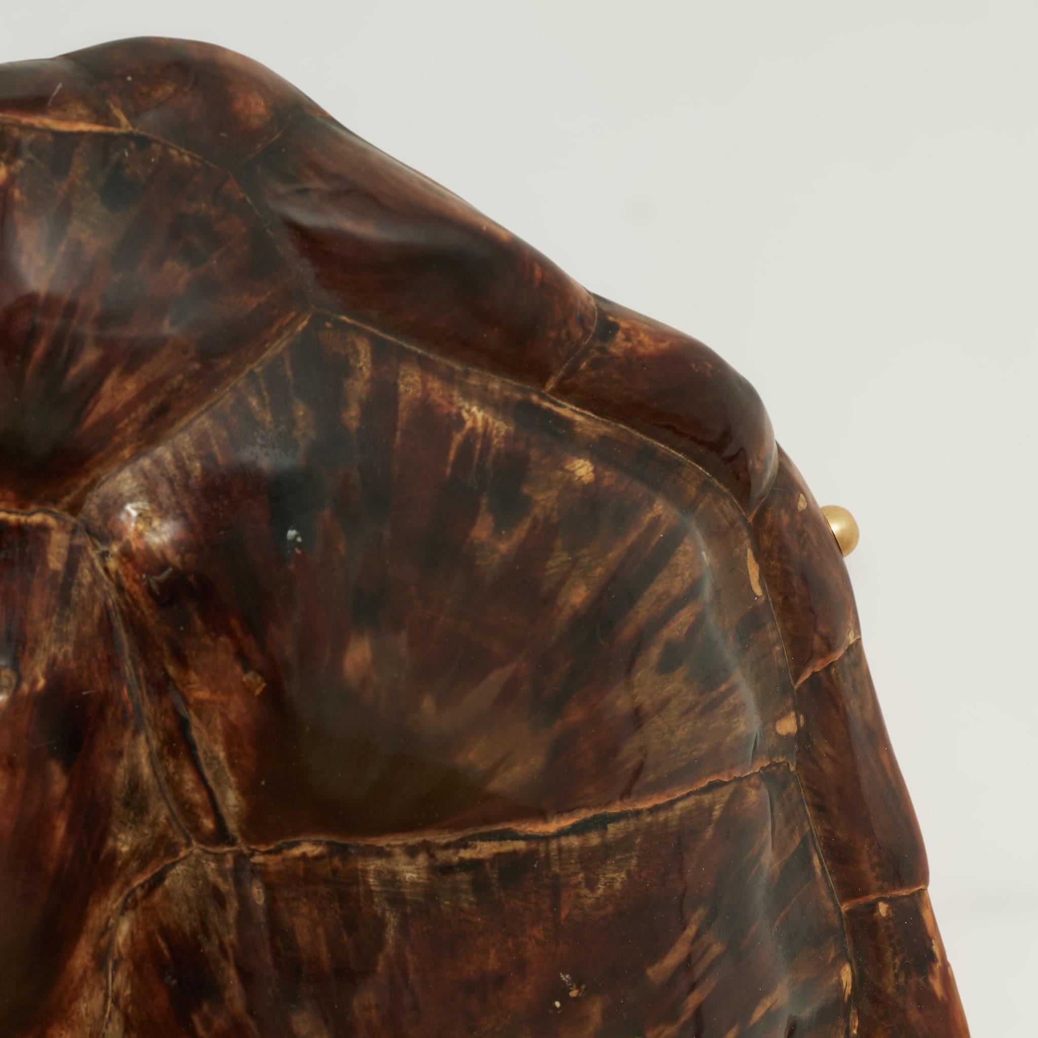 Unknown - Antique Organic Turtle Shell For Sale at 1stDibs
