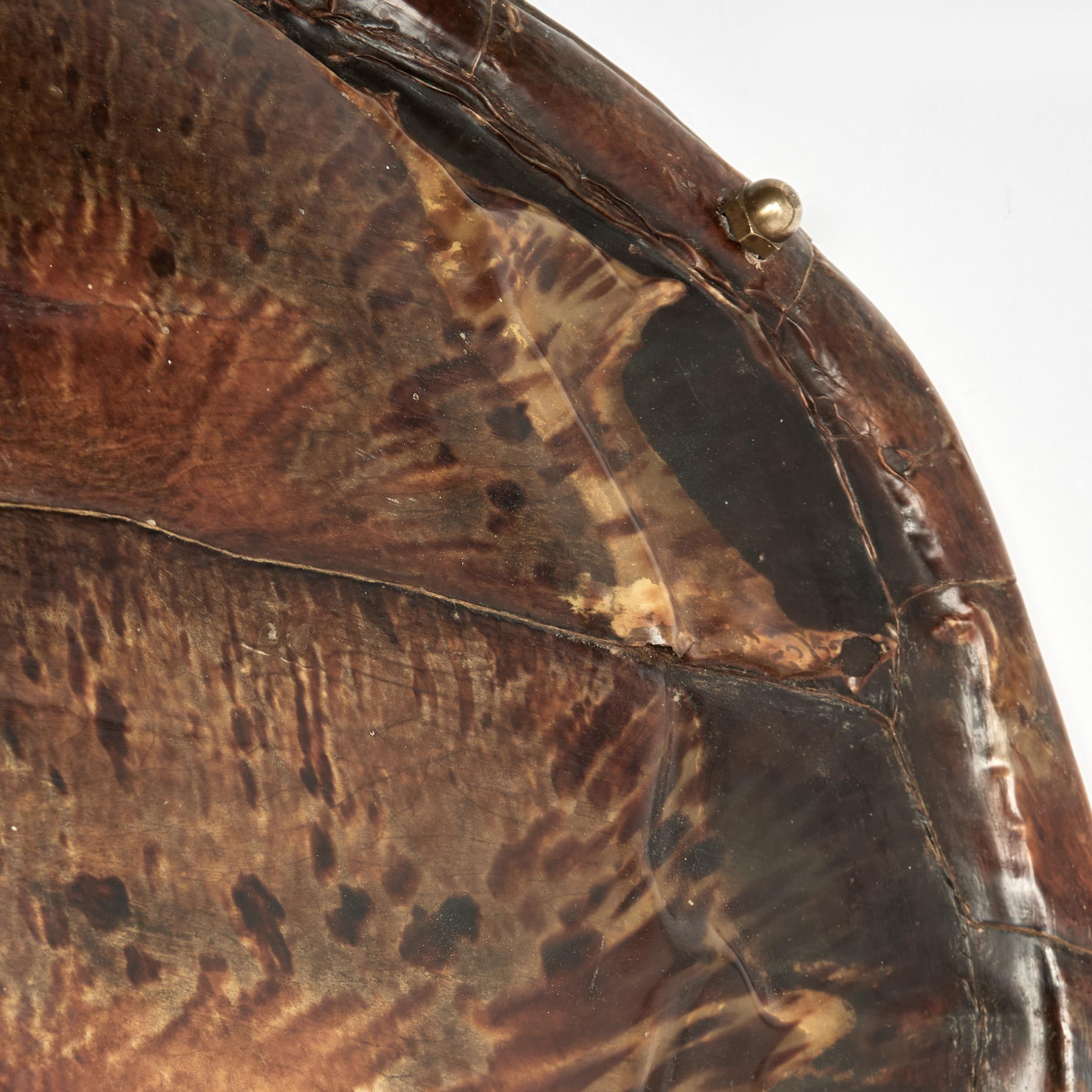 Antique Wall hanging Turtle Shell For Sale 3
