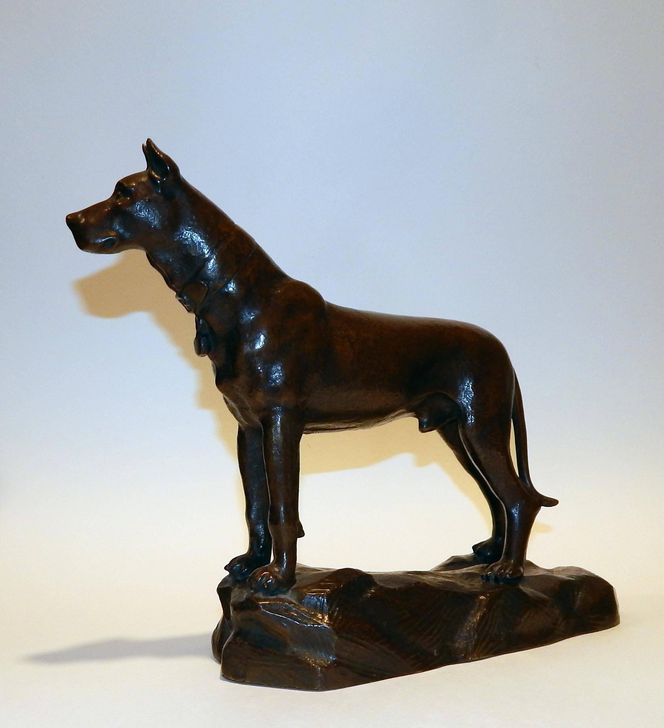 Questo meraviglioso bronzo di Antonio de Fillipo (1900-1993) raffigura il regale alano.
Presenta una patina calda e satinata ed è in condizioni eccellenti. Il cane ha un'altezza di 10 pollici, una lunghezza di 13 pollici e una larghezza di 4 pollici
