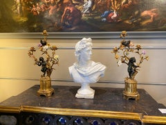 Busto di Apollo in marmo Scultura di Grand Tour Soggetto mitologico 1850'