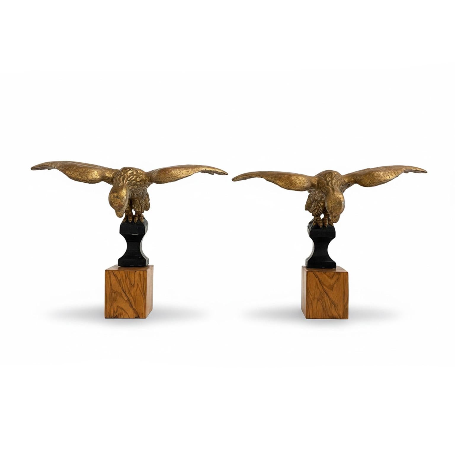 Unknown Figurative Sculpture - Carved and Gilded Wooden Eagles, Italian Sculptures, circa 1850, Set of Two